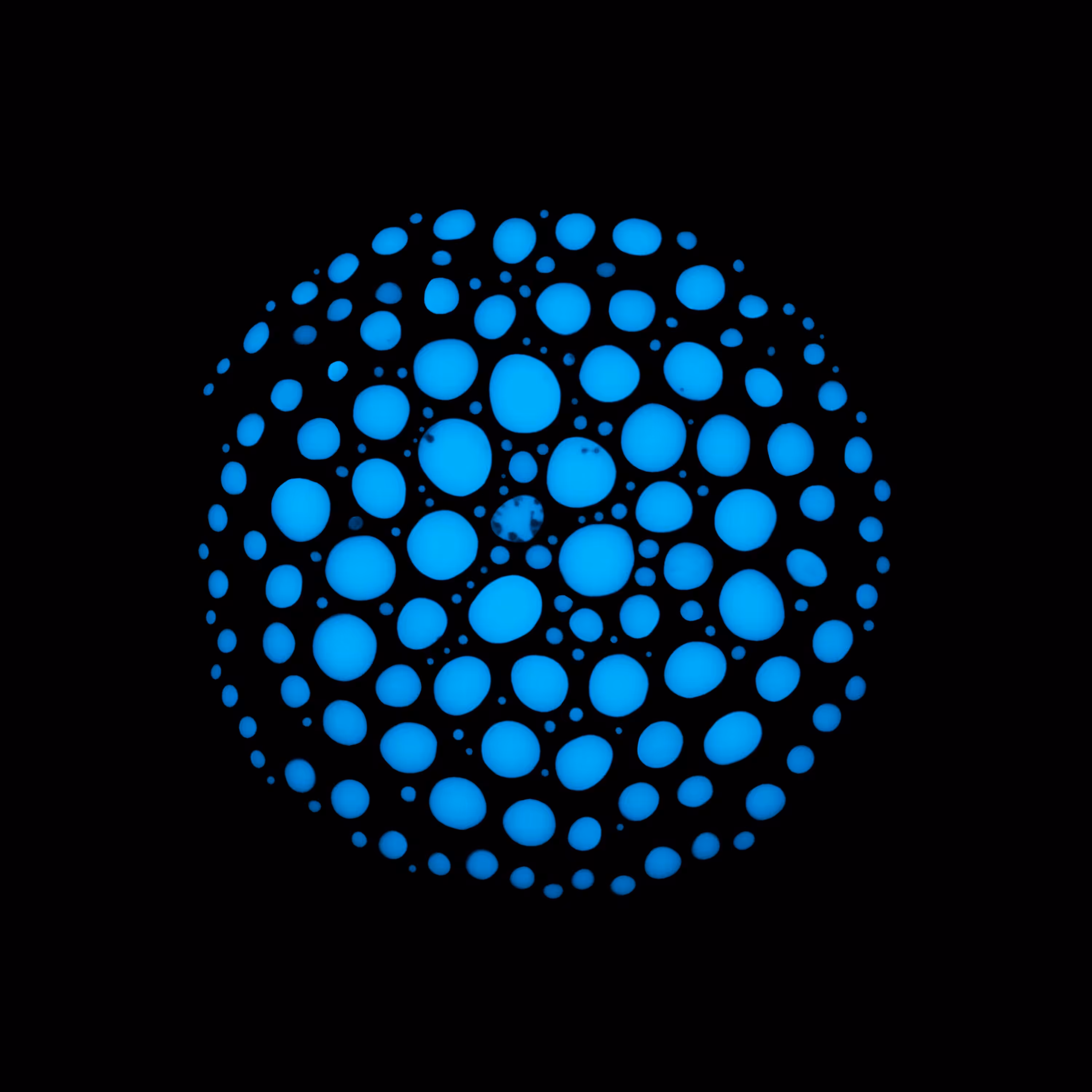 Haematopoiesis #4