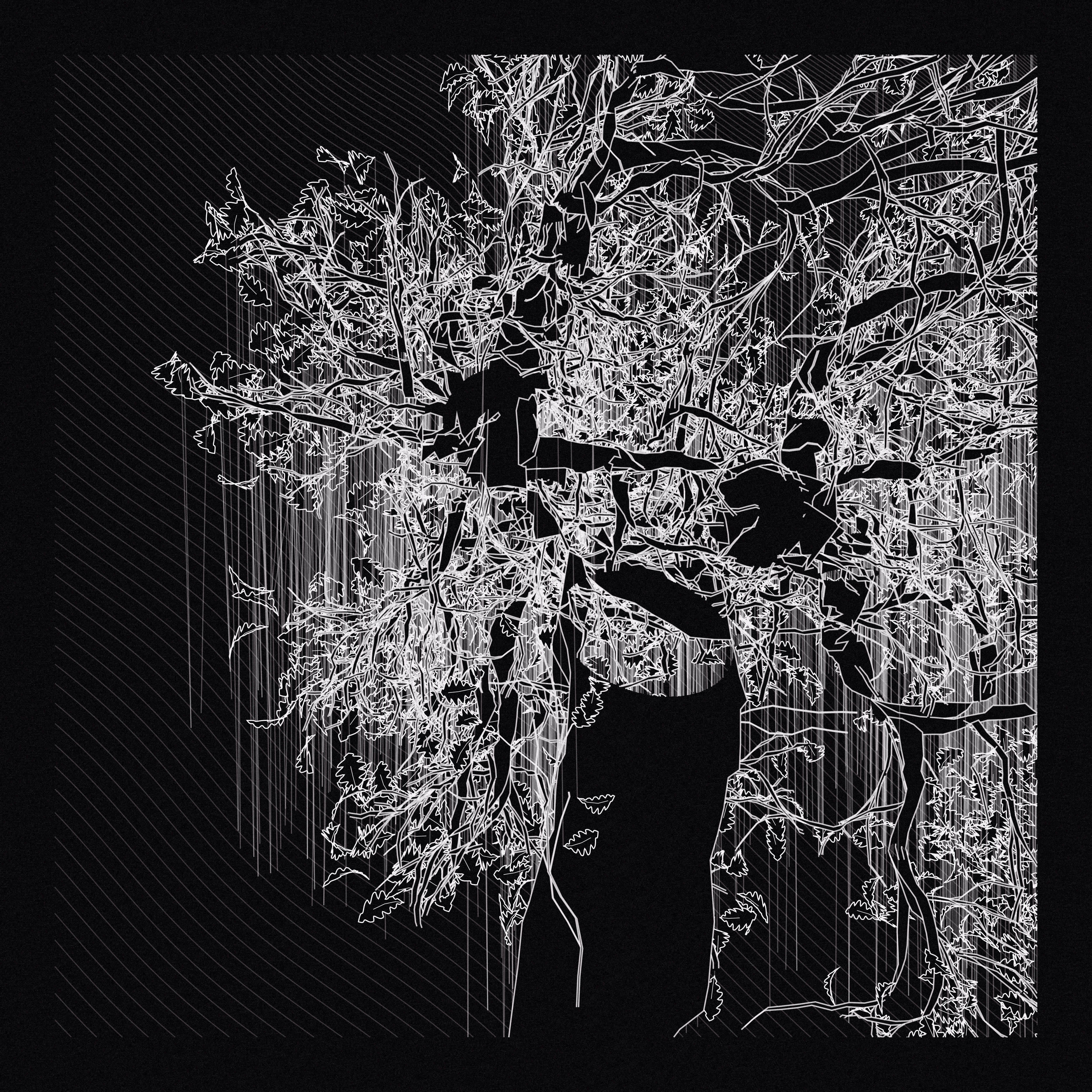 A Bugged Forest #851