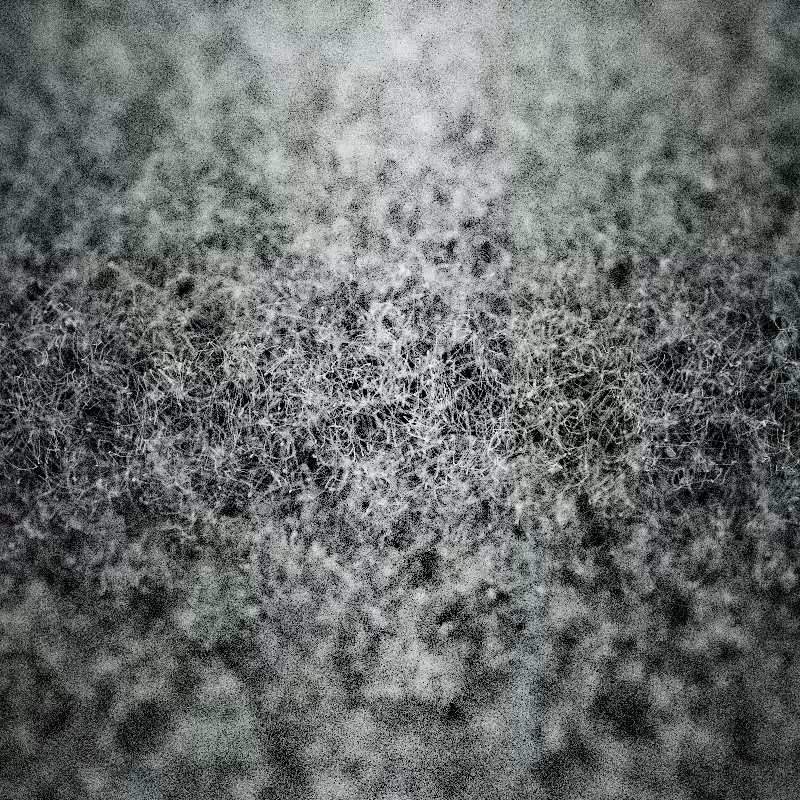 Field of noise #11