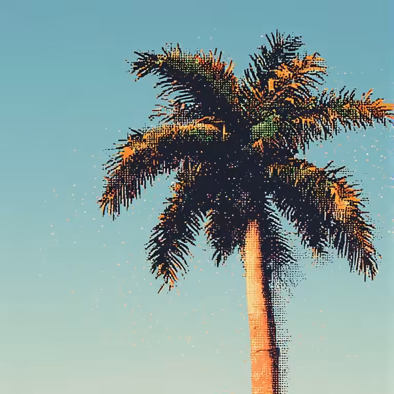 palm tree