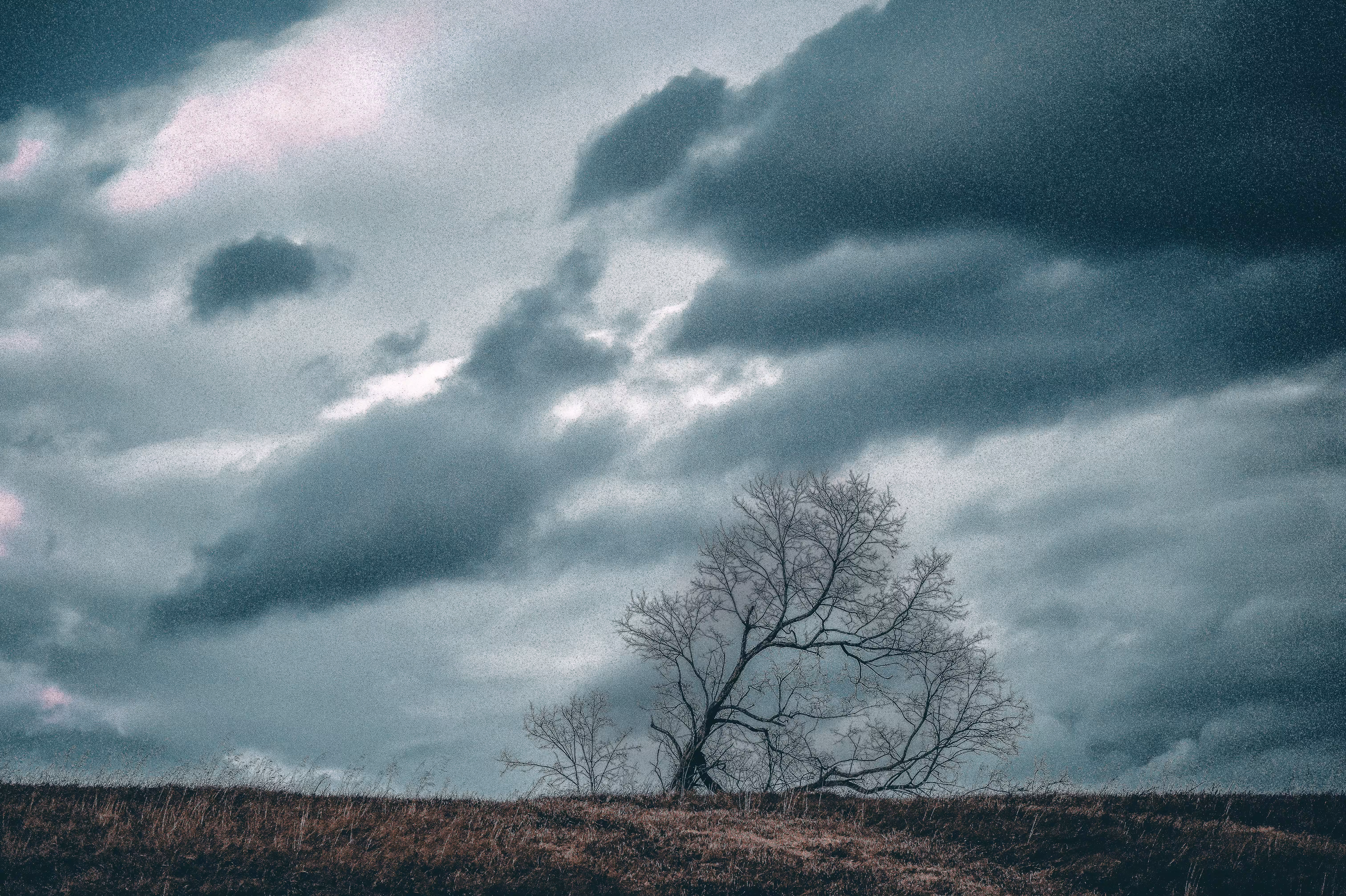 365 Days of Seasons on the Farm