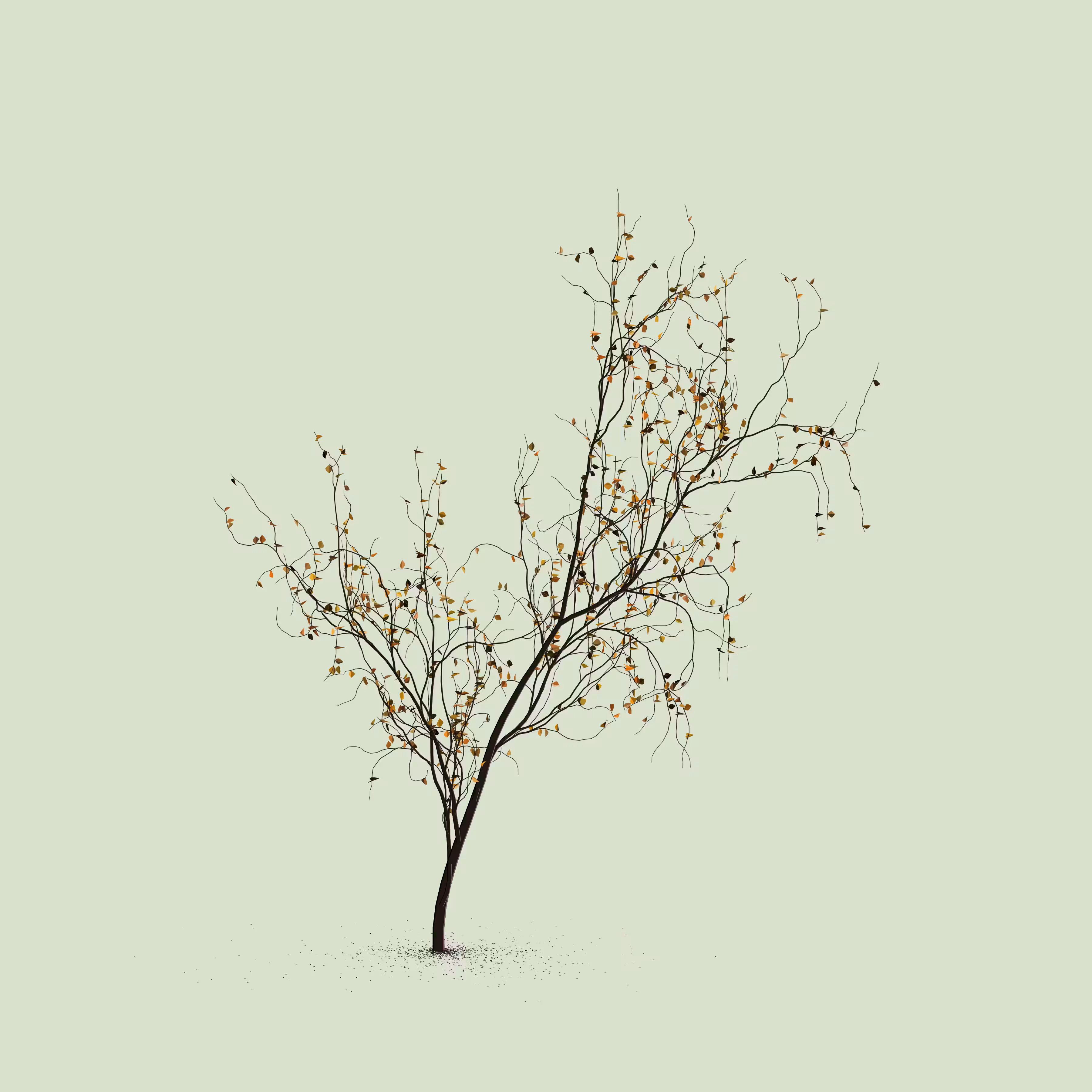 Little Trees #218