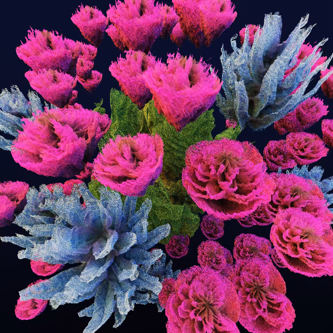 rosarium #126