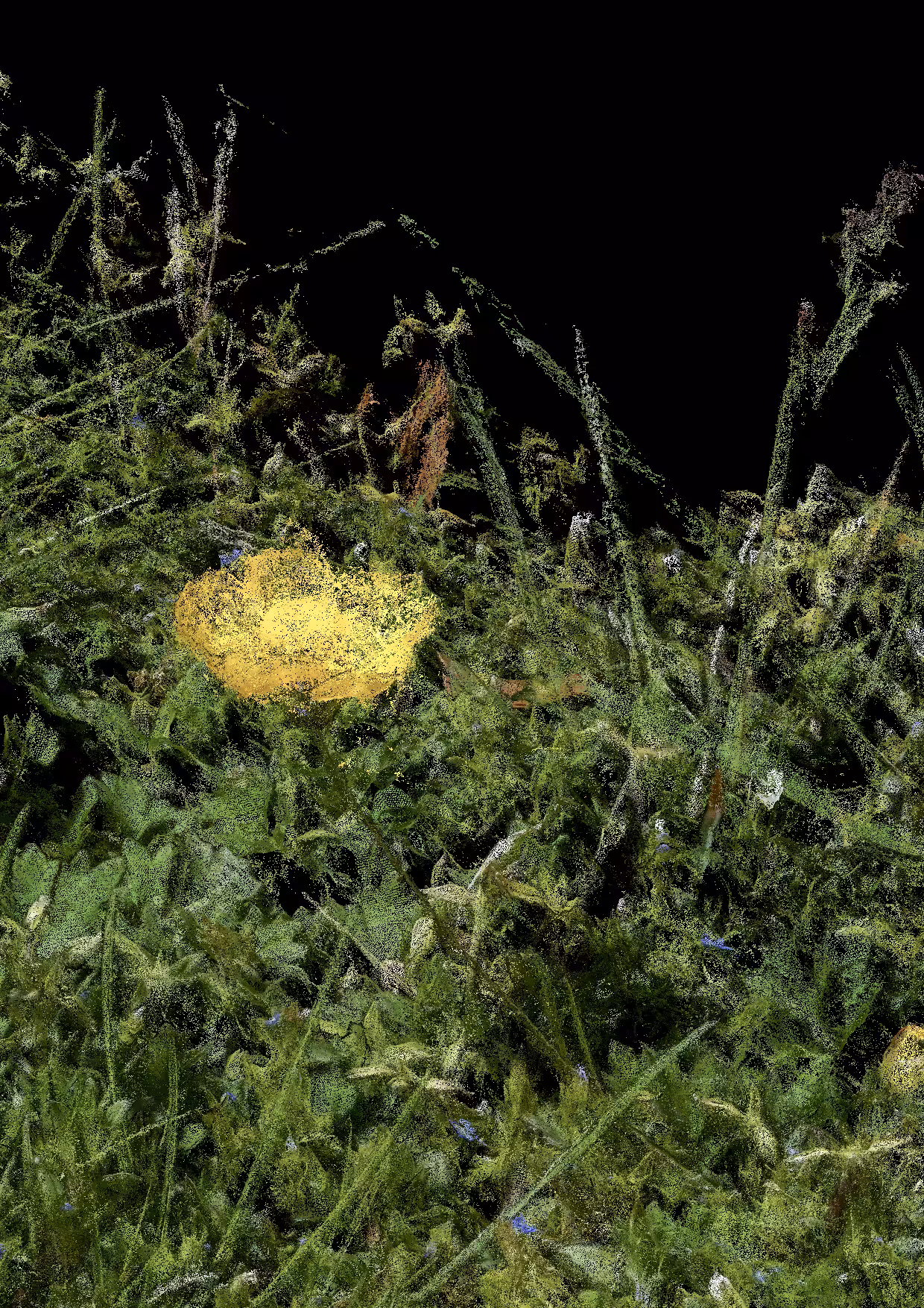 Overgrowth 0329