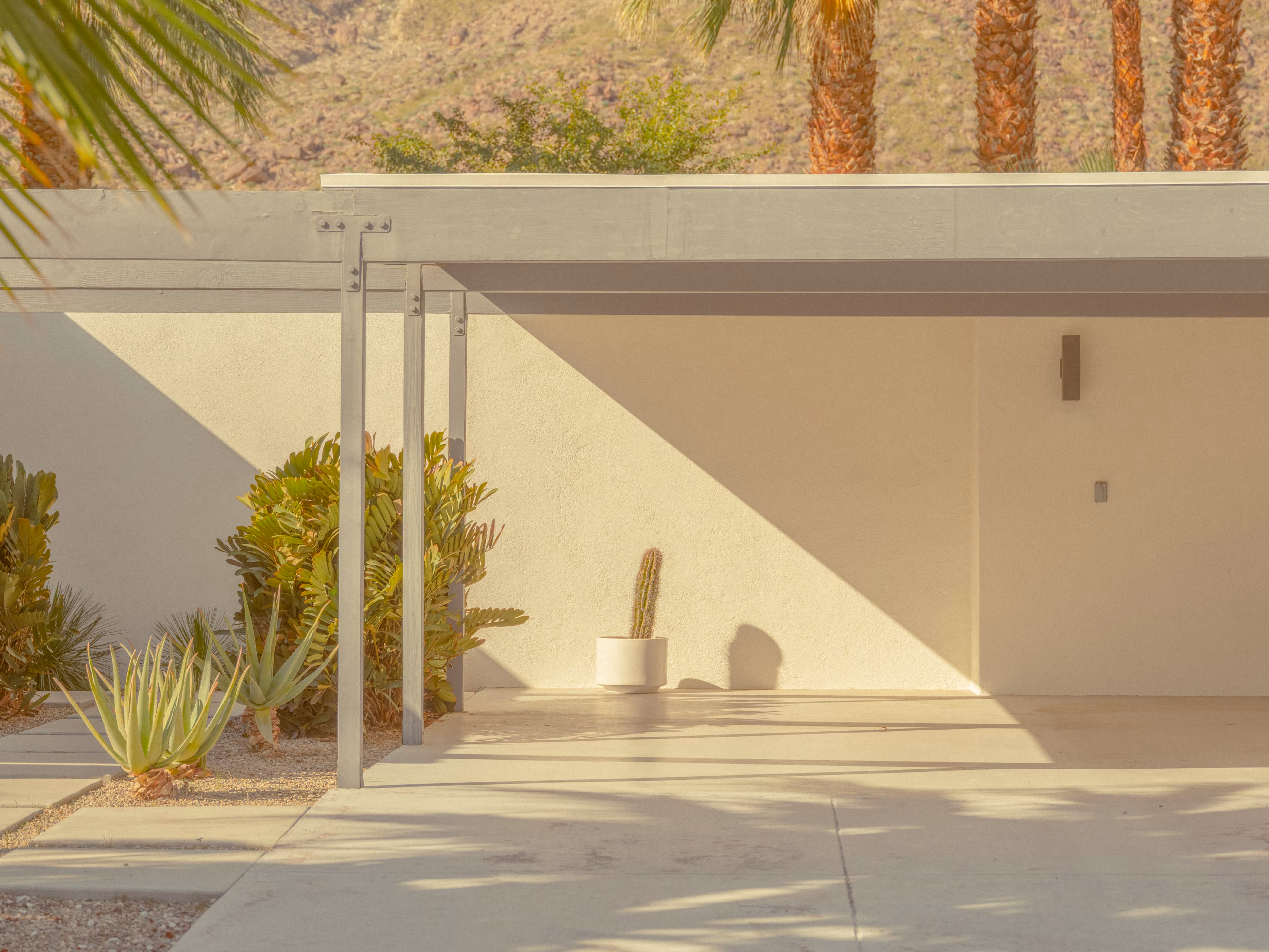 Desert Oddities #13