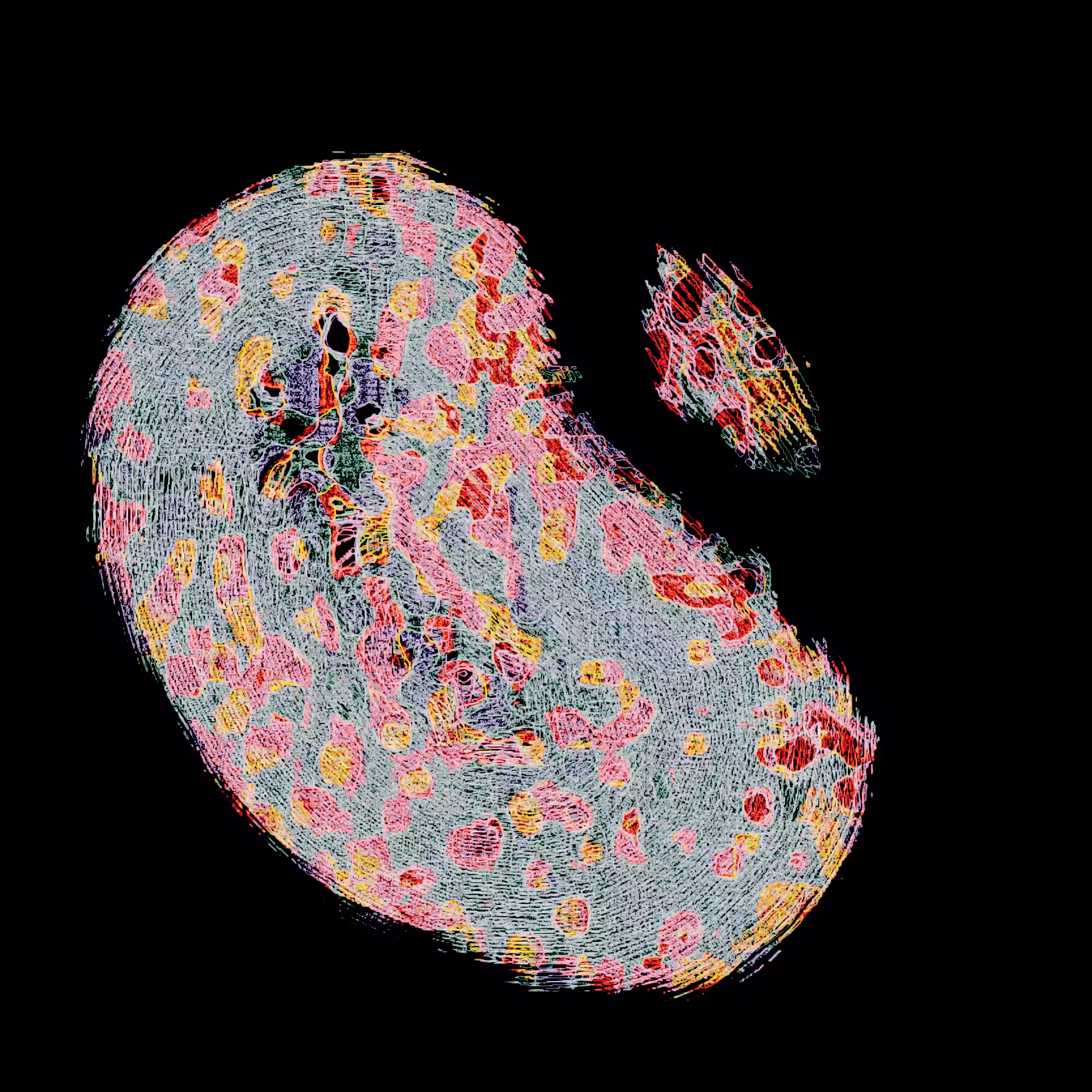 m2203050528png1900x1900