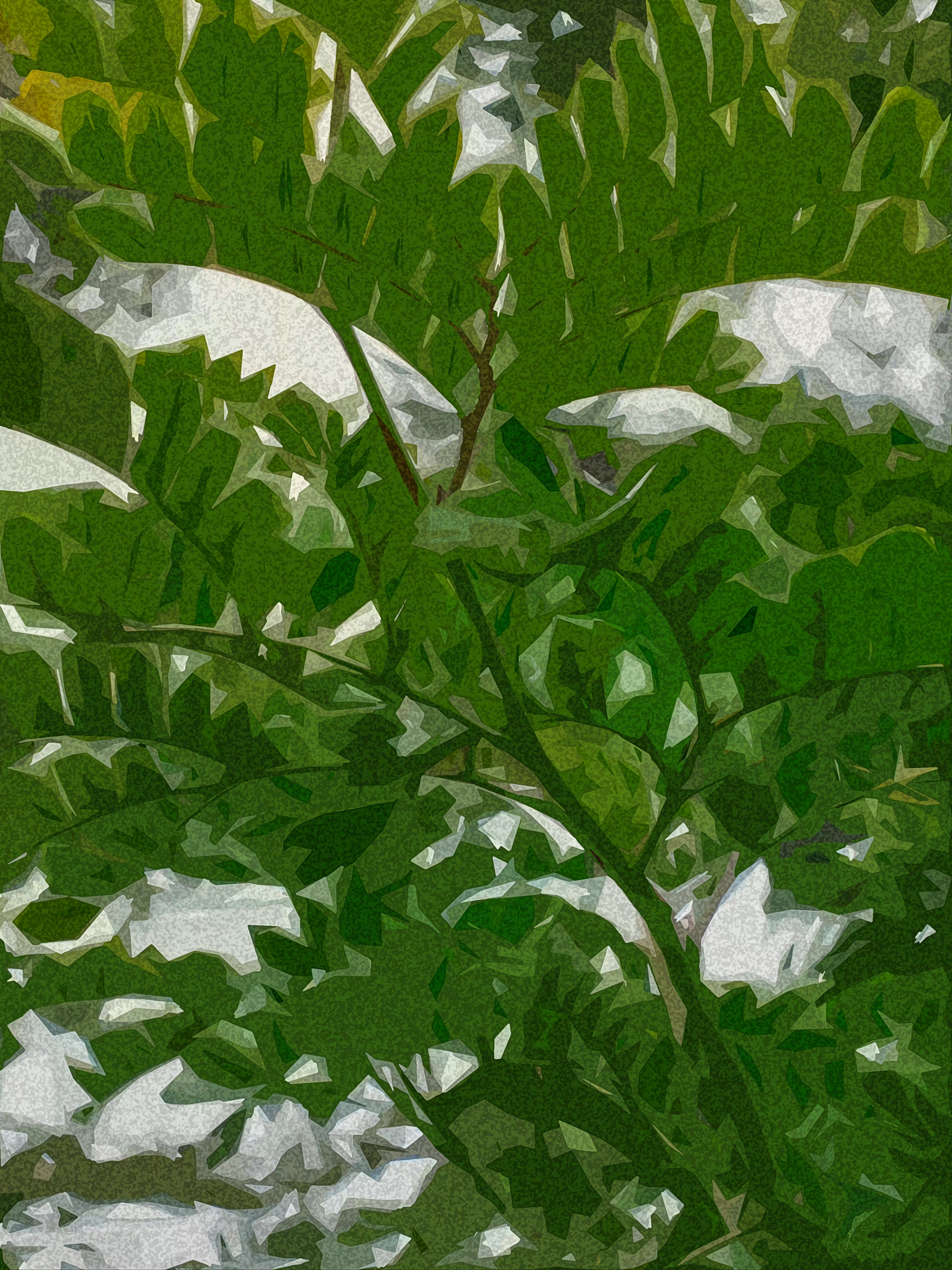 Deep Green