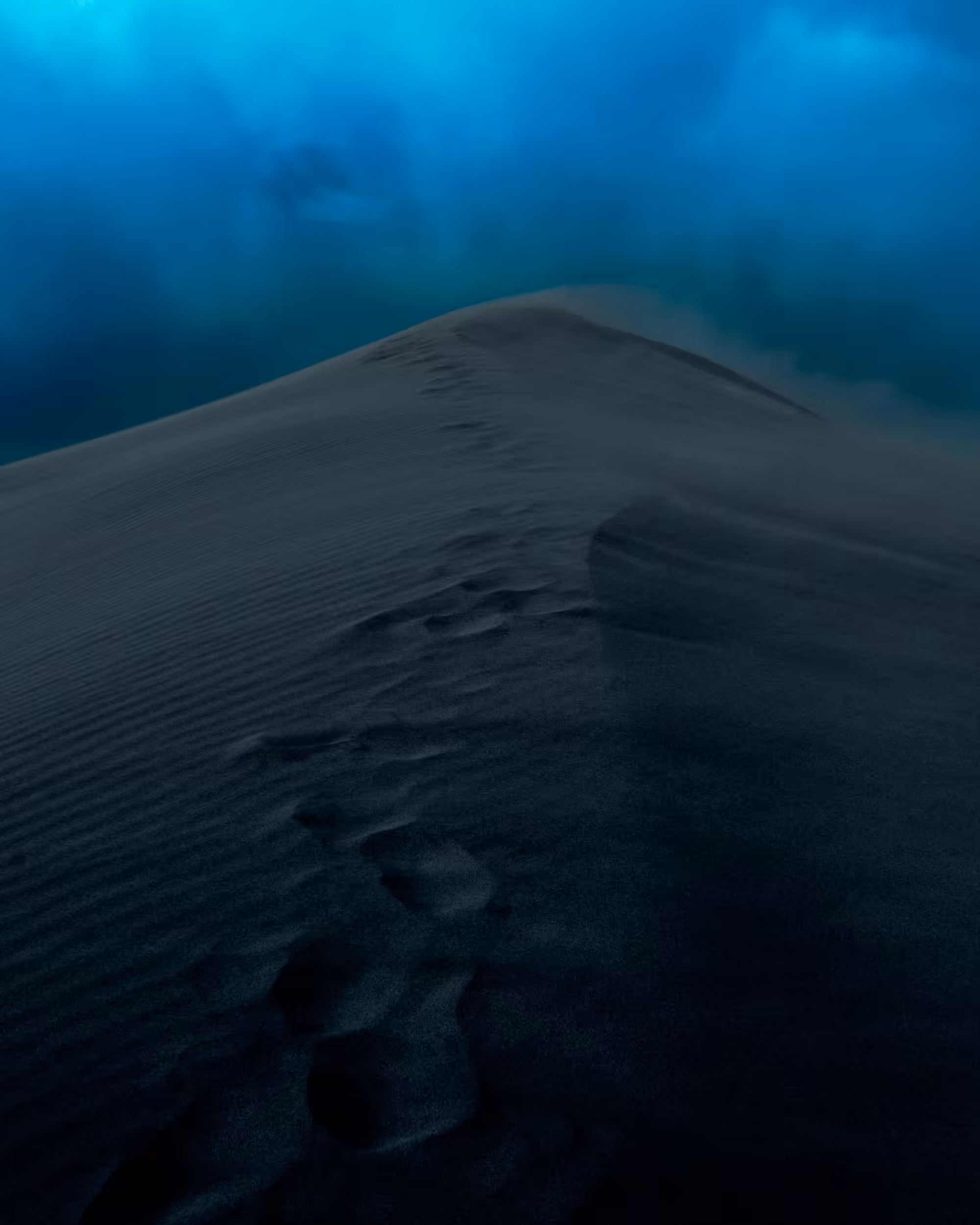 disappears
