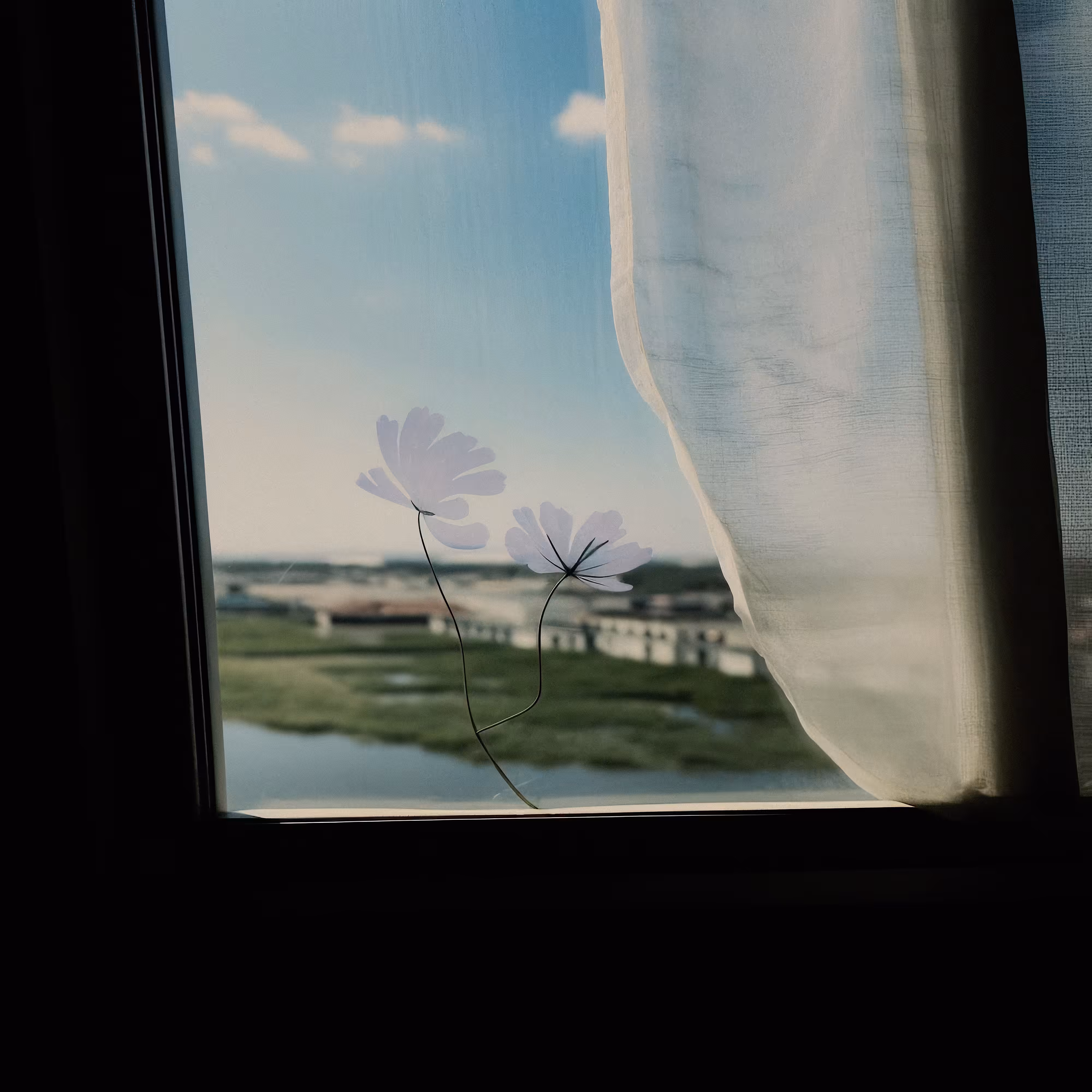 Paper-thin