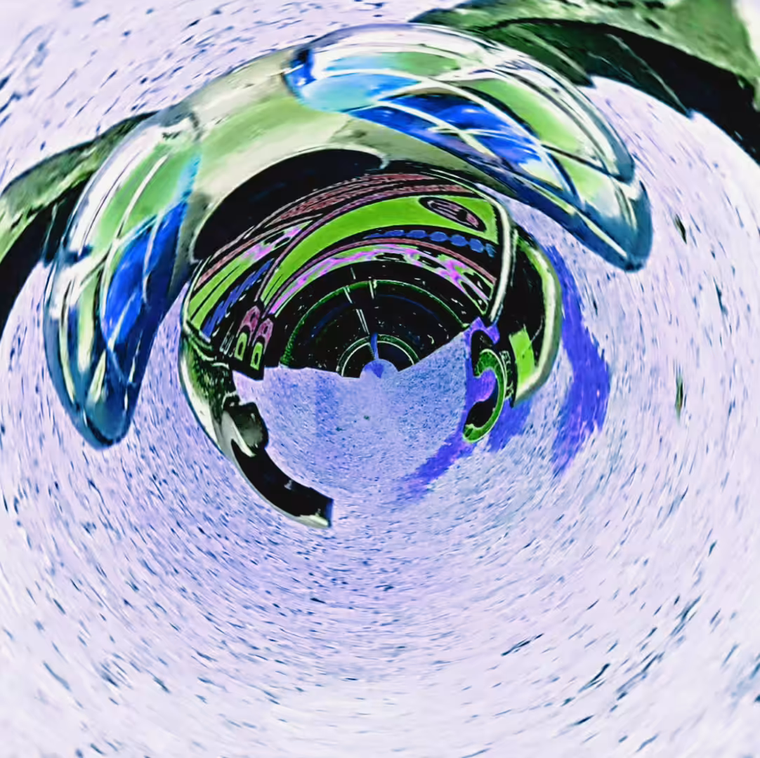 Fly inside