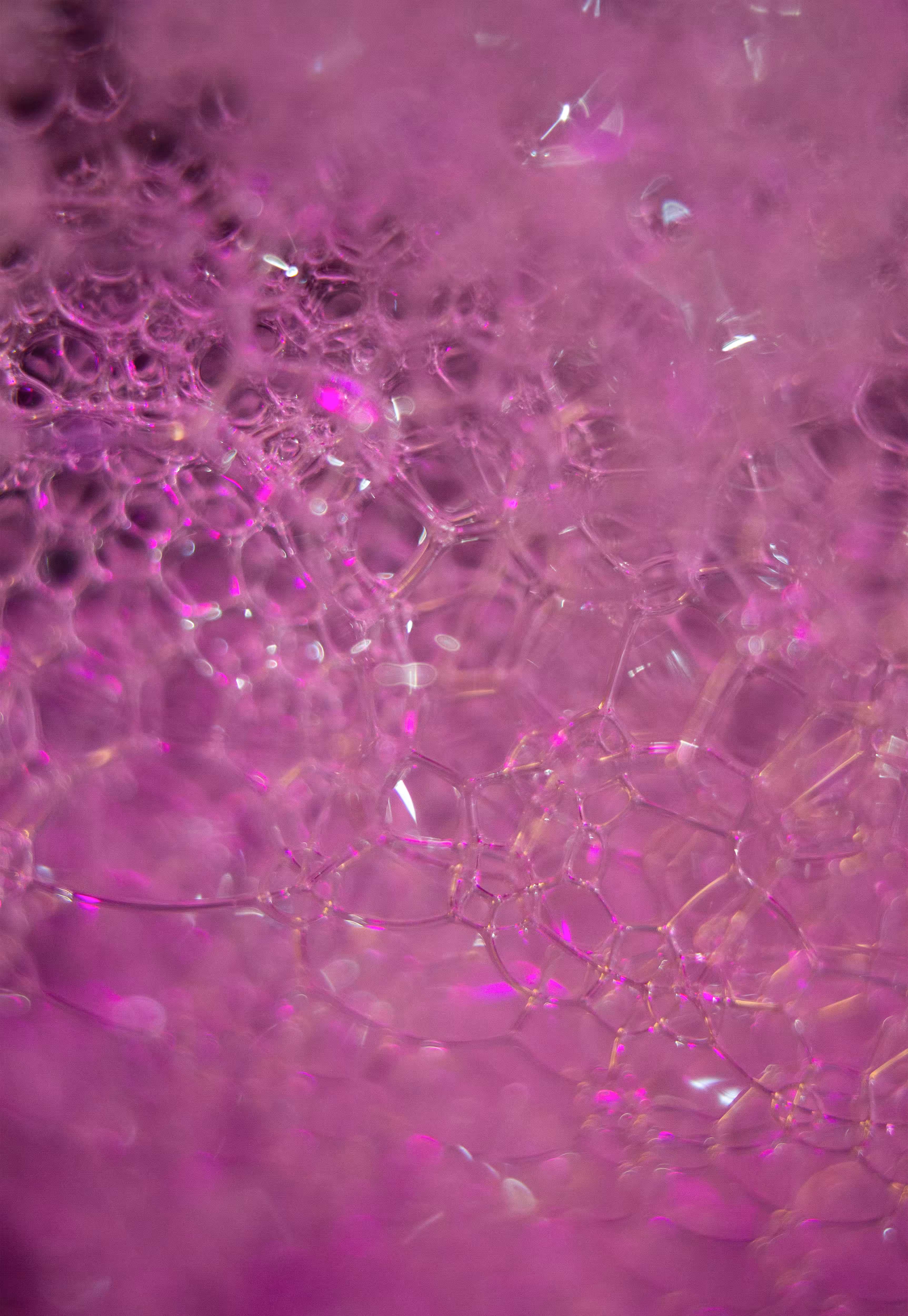 Abstract World of Soap Bubbles: #221 Bubbles