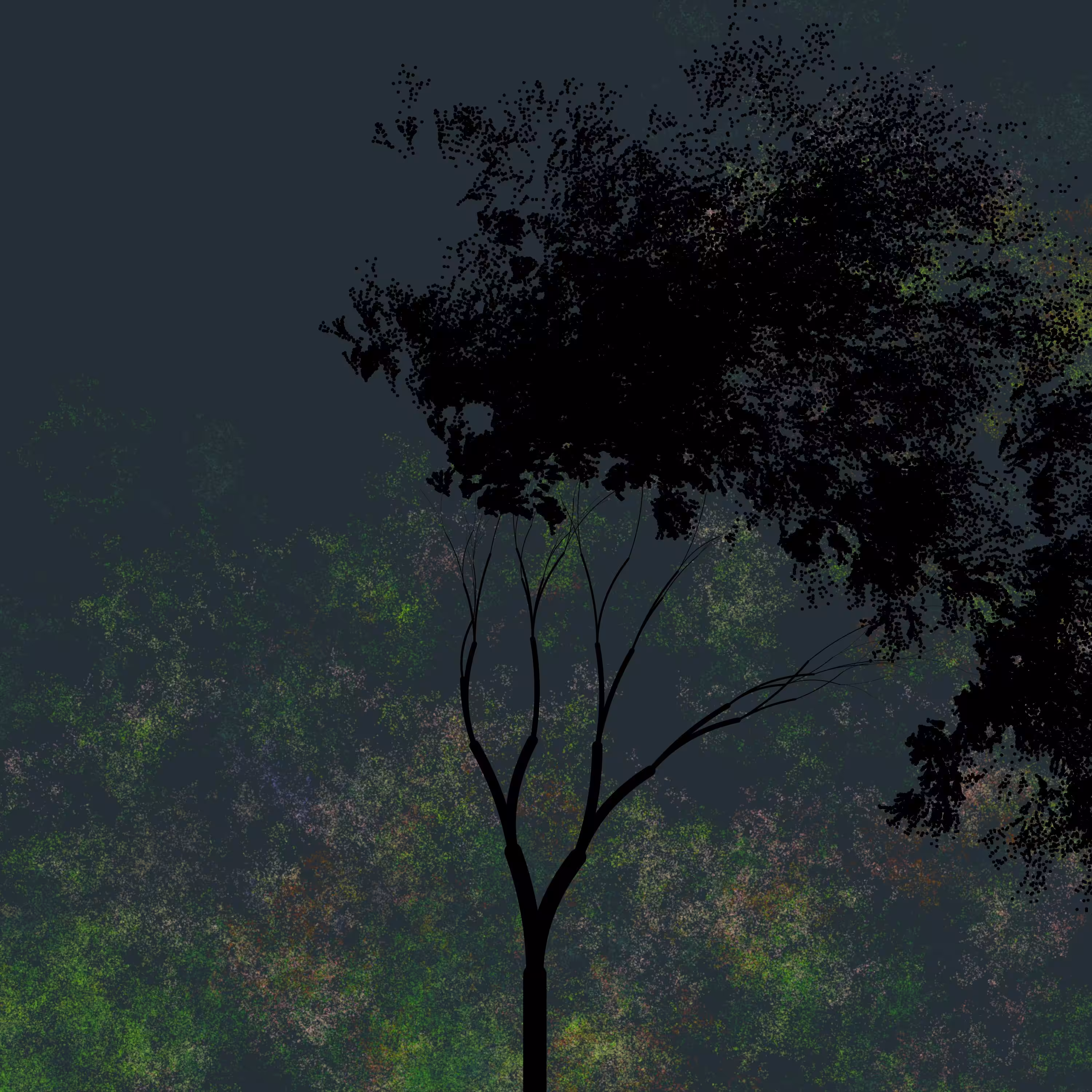 Night Tree 256