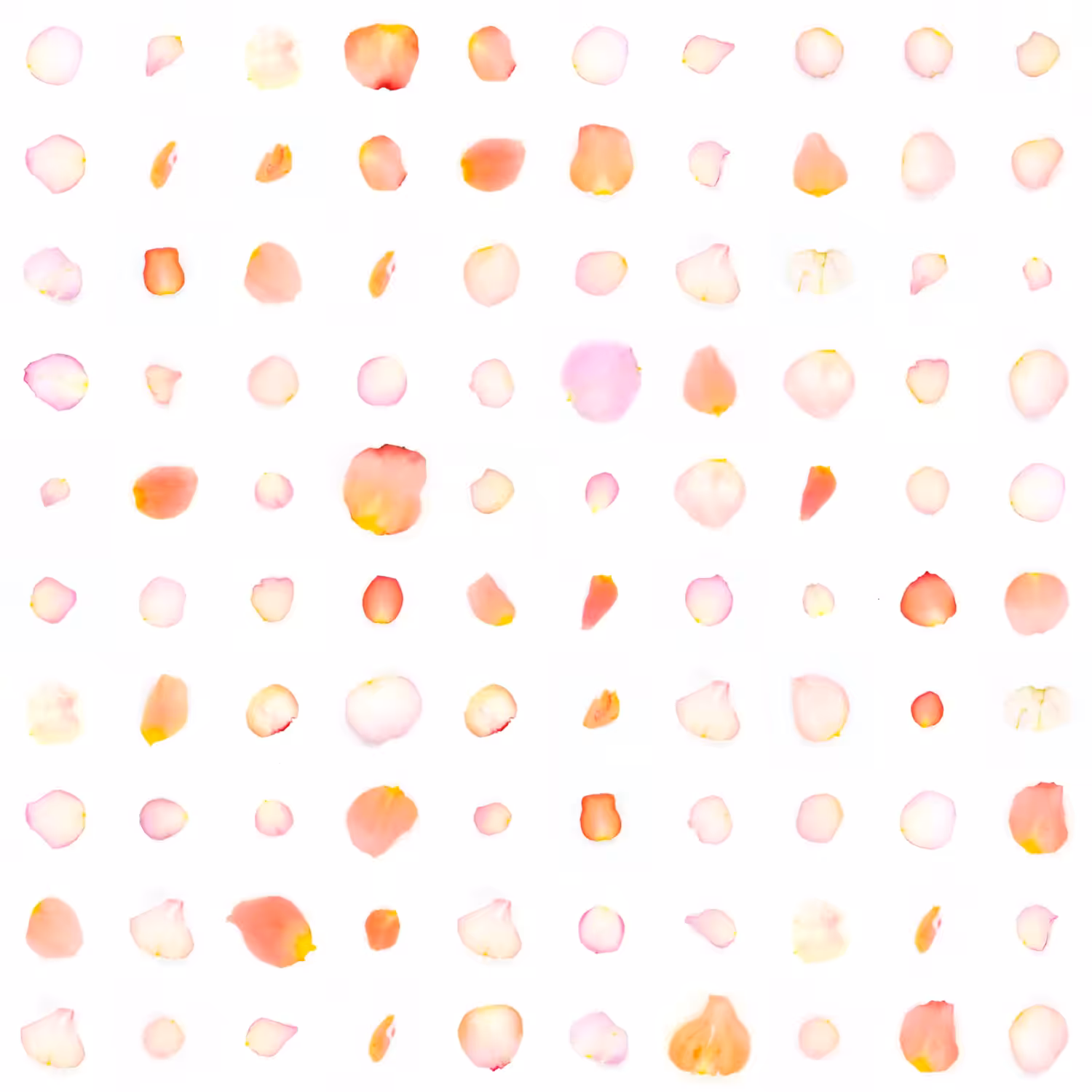 Infinite Petals 10x10#3590