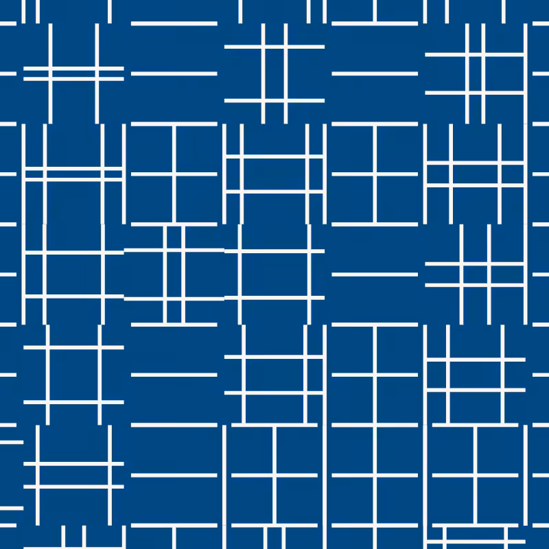 CENTURY-XXX-METAMORELLET #843