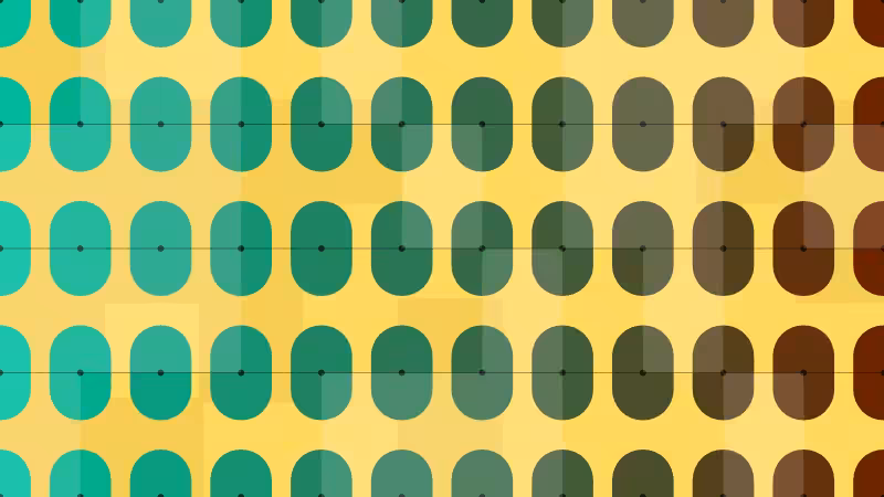 Polka #146