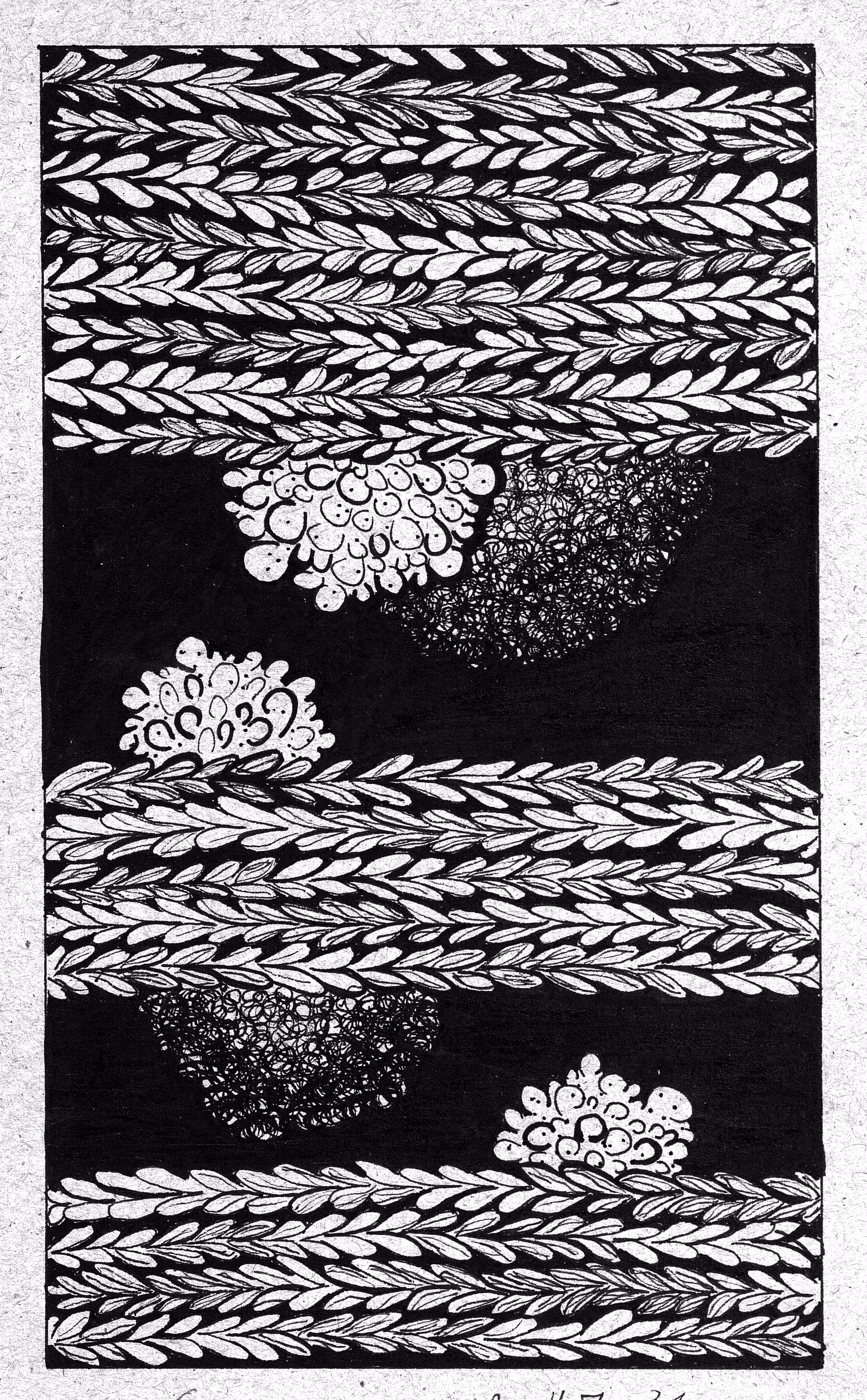 Woven Sketch XXII