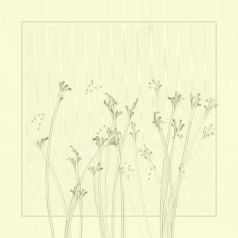 string_pllu #3