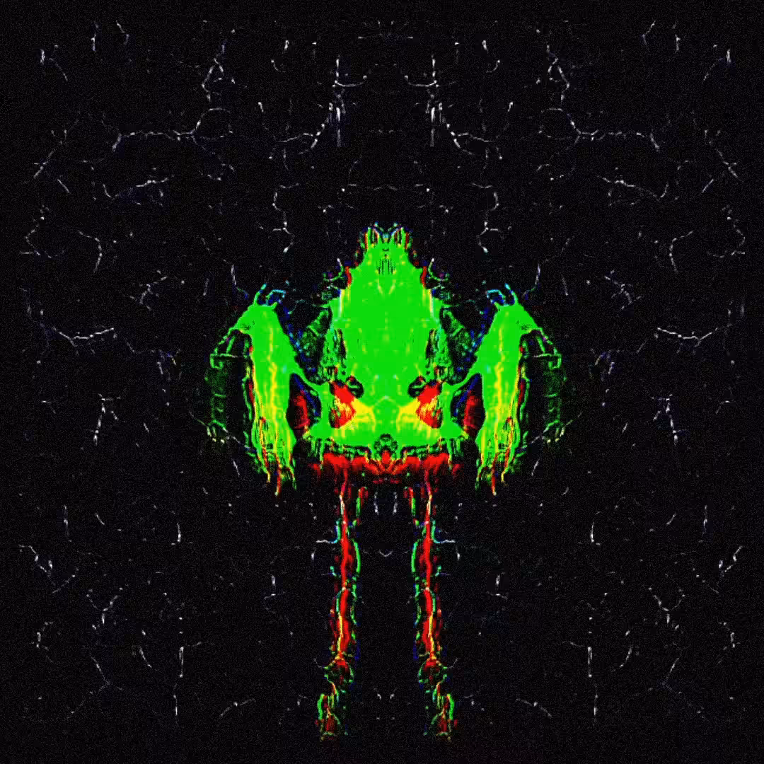 fragment bird