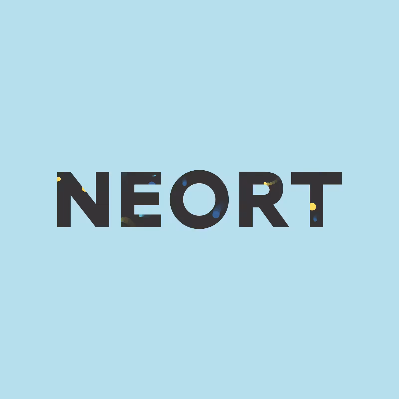 NEORT Vessel 4629