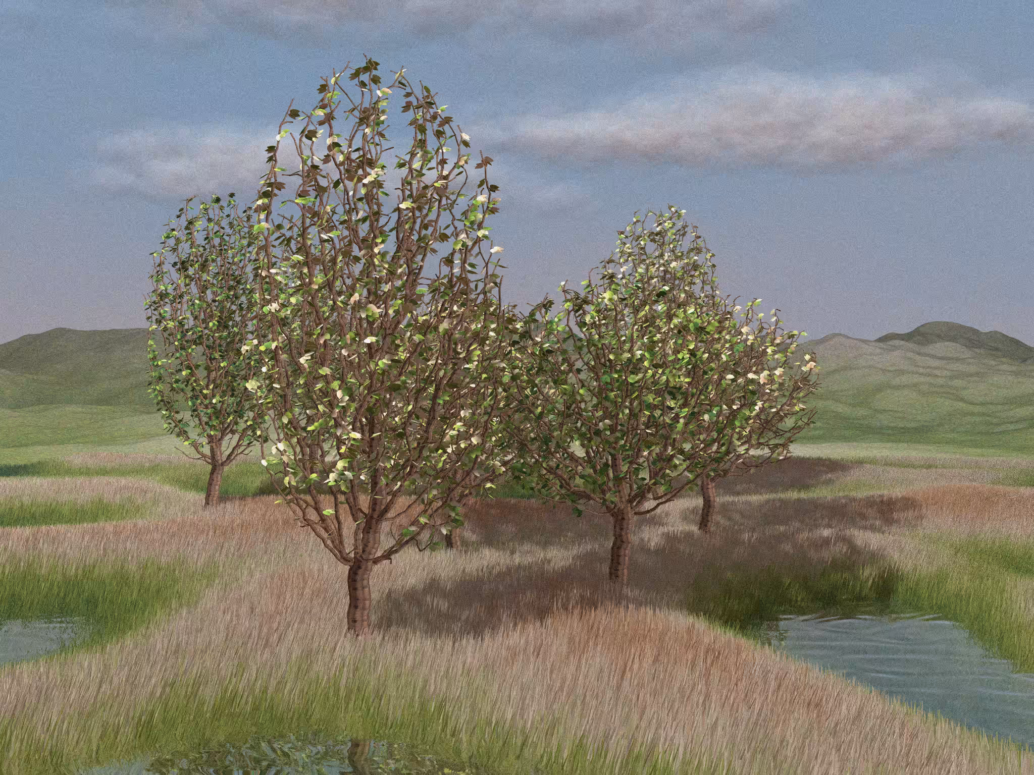 Landscapes out of my mind #19