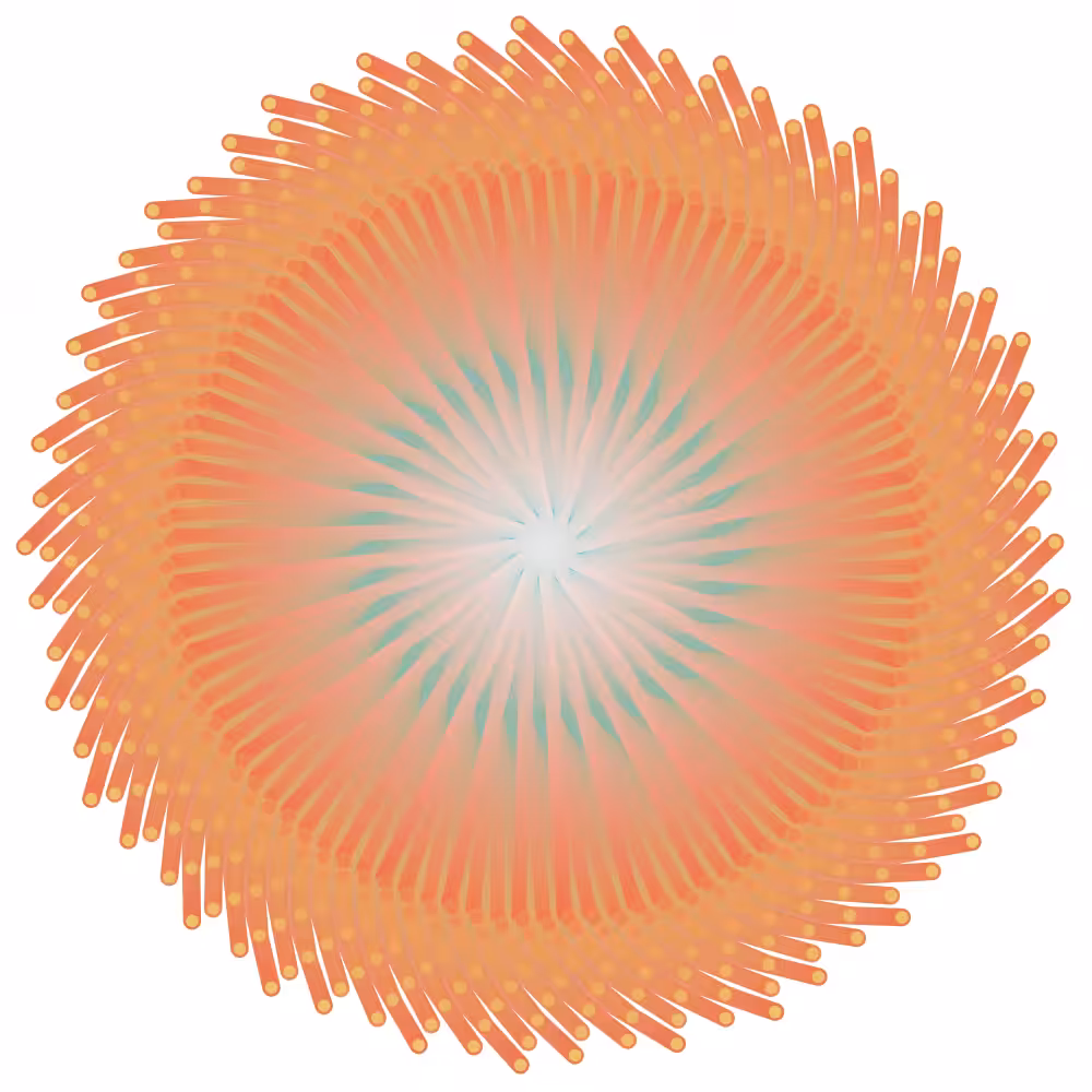 Poppy #305