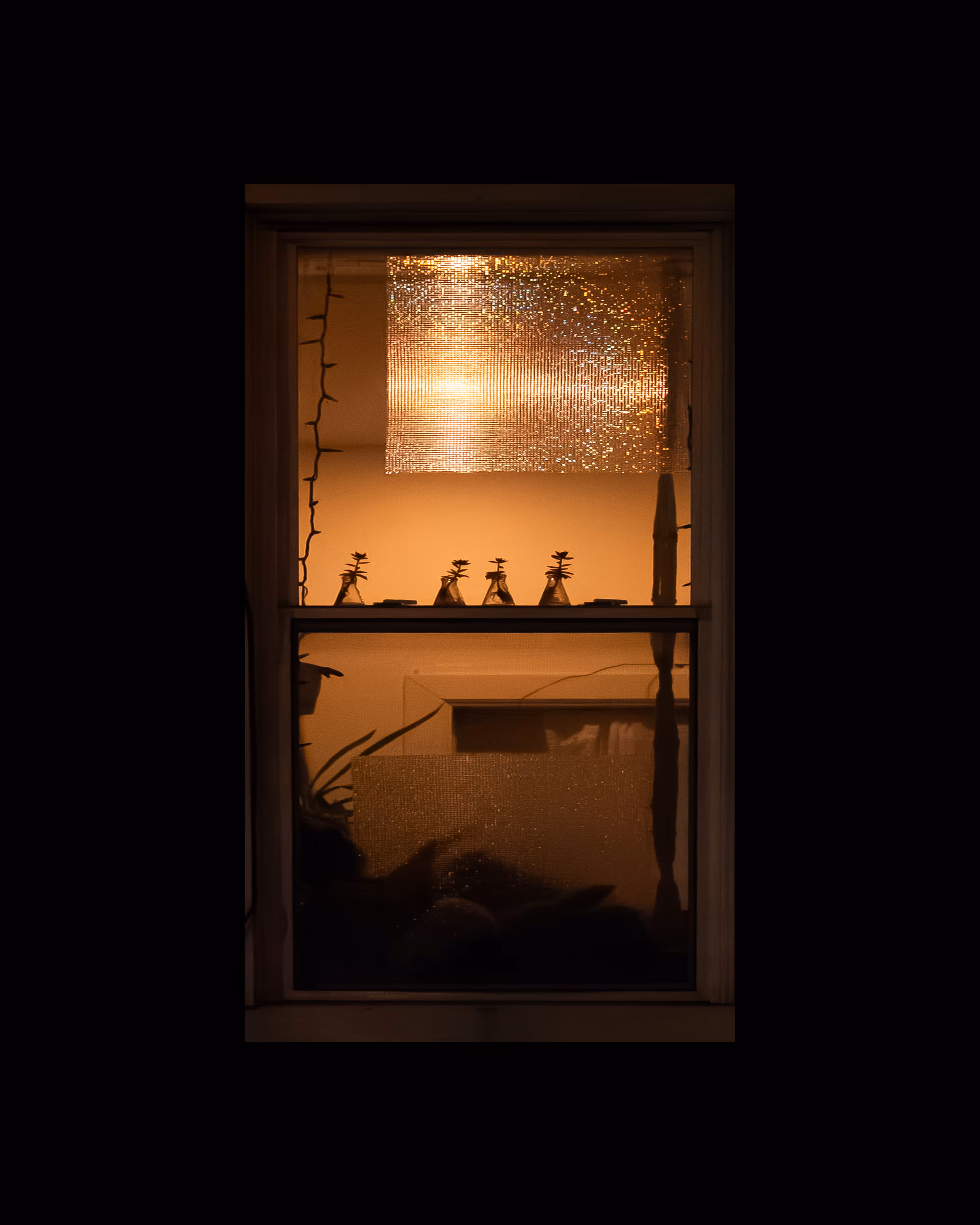 WINDOWS // NYC: WINDOW 272