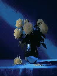 I Never Promised You Roses