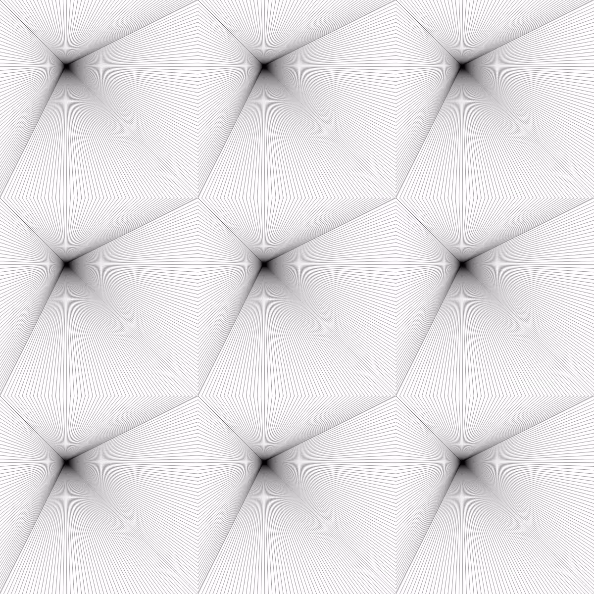 Noir et Blanc #77
