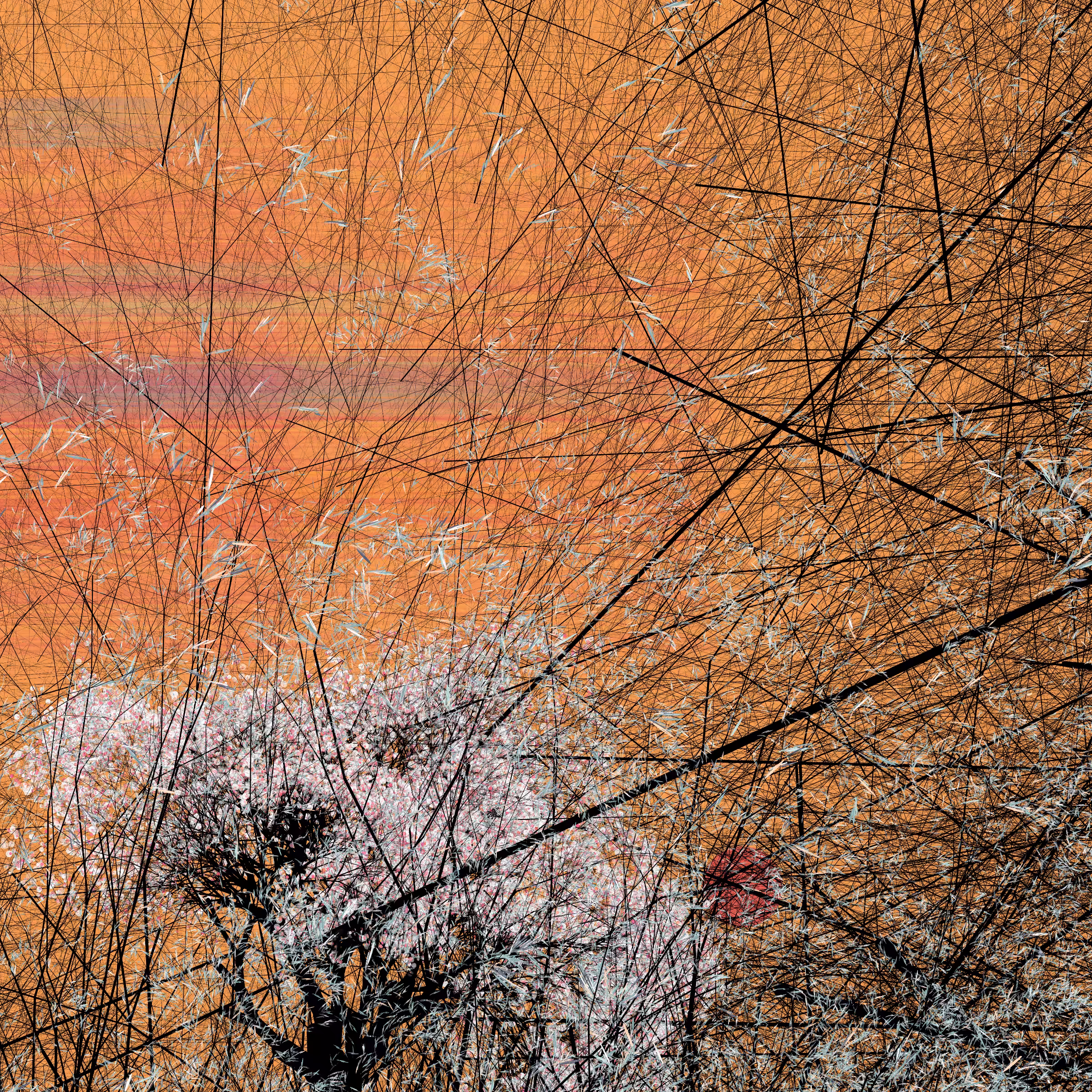 conversation with the wind #681