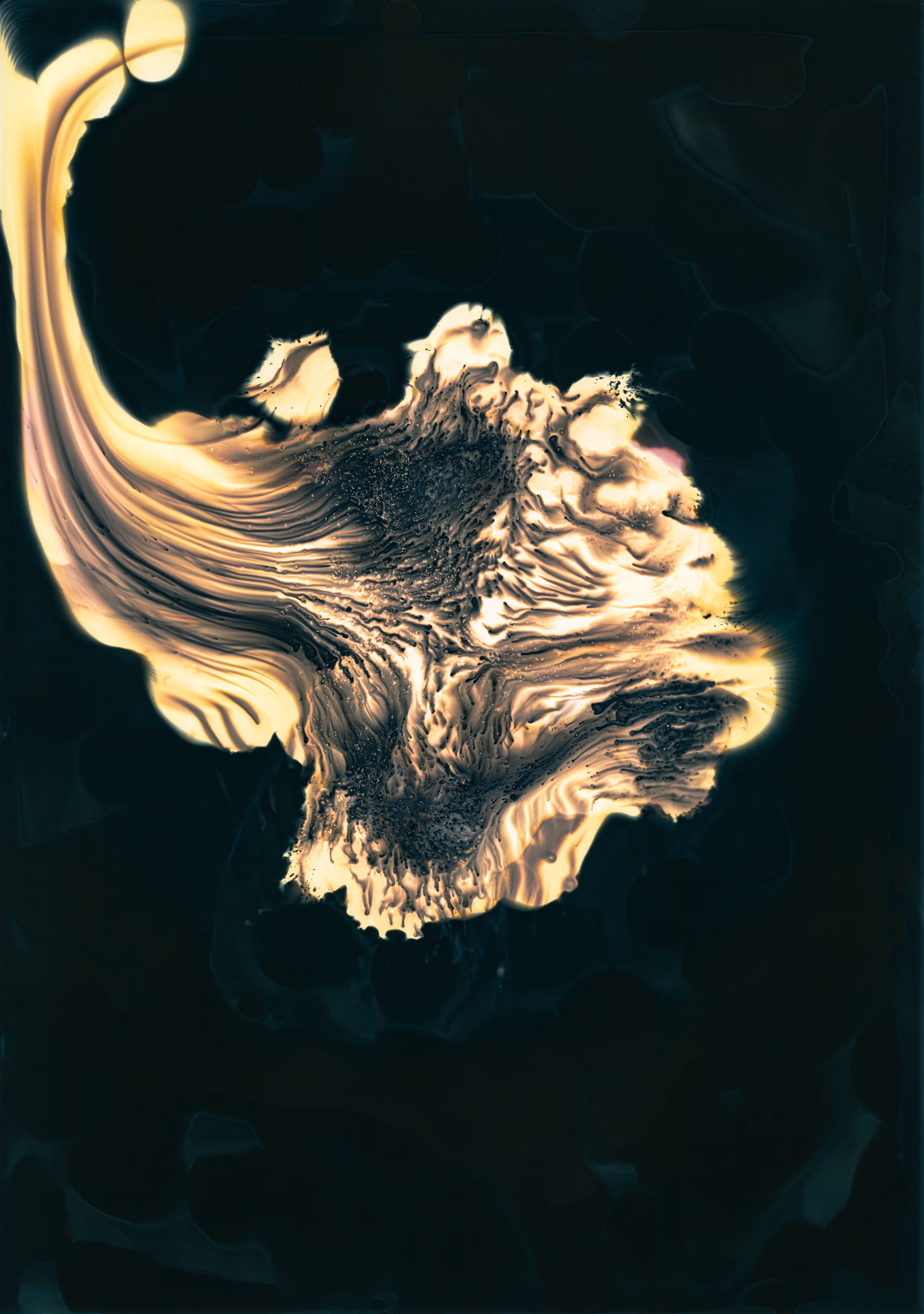 Flower IV