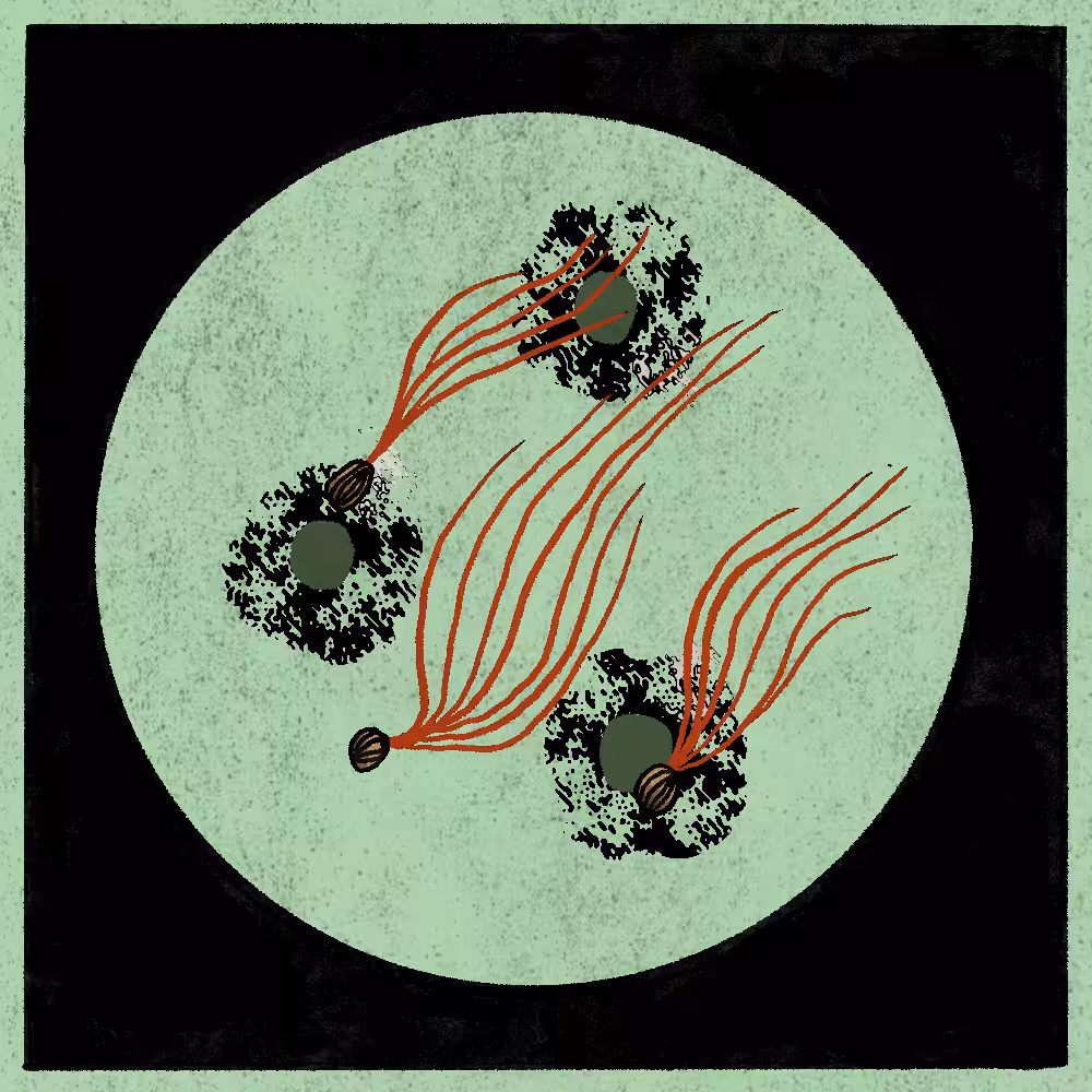 Microbes #131