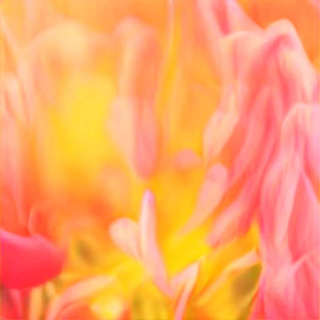 Floral Fantasy, No.1