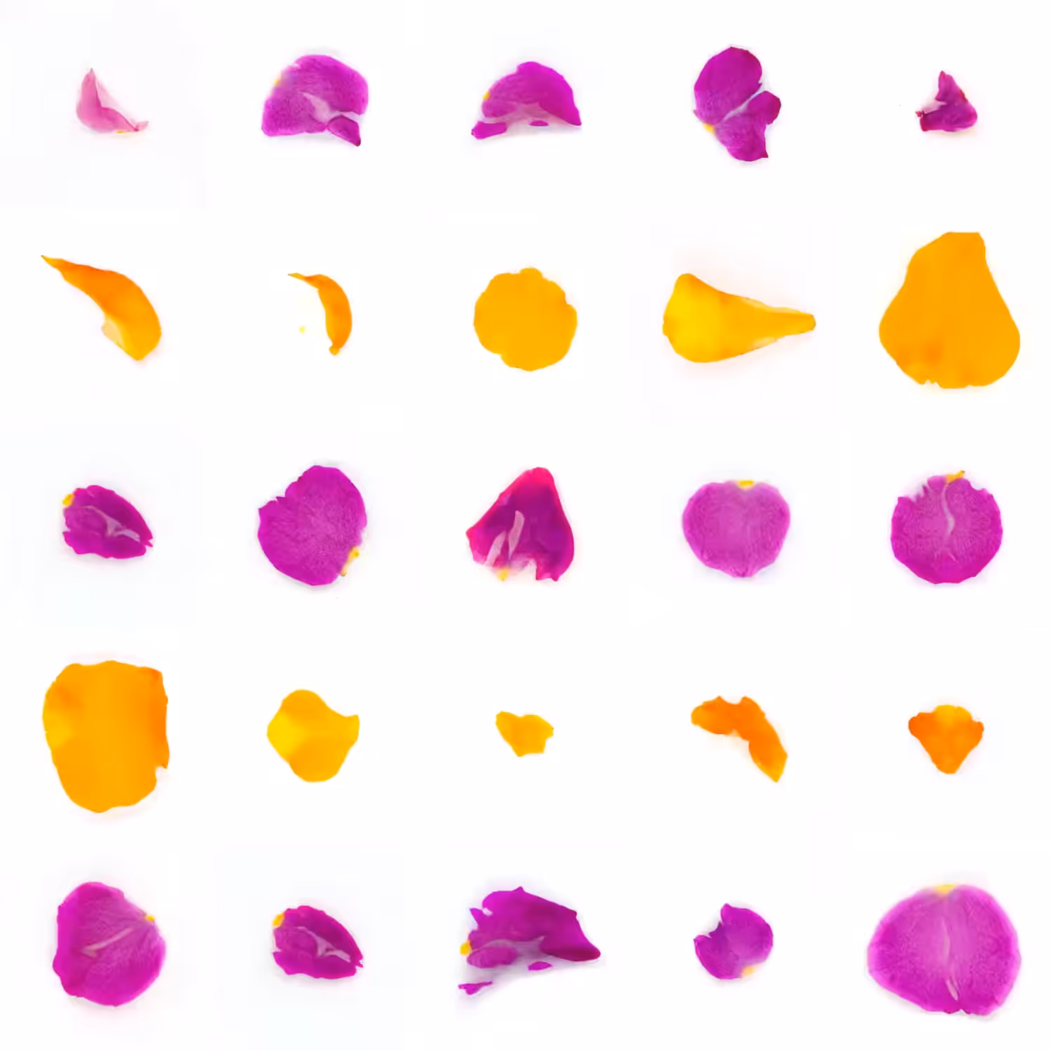 Infinite Petals 5x5#108