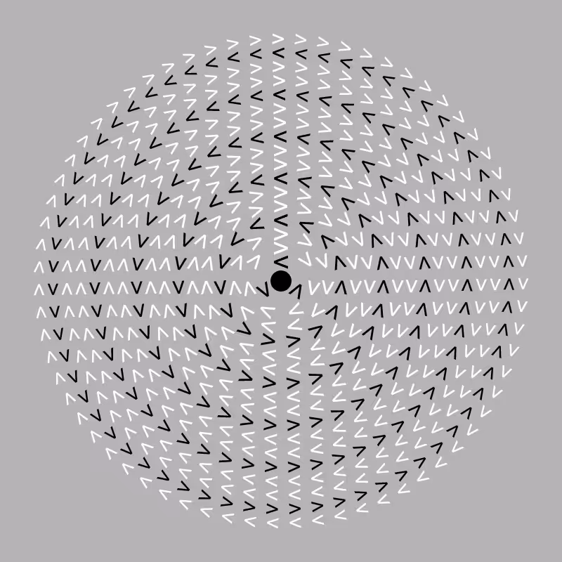 Dizzy Wheel #7