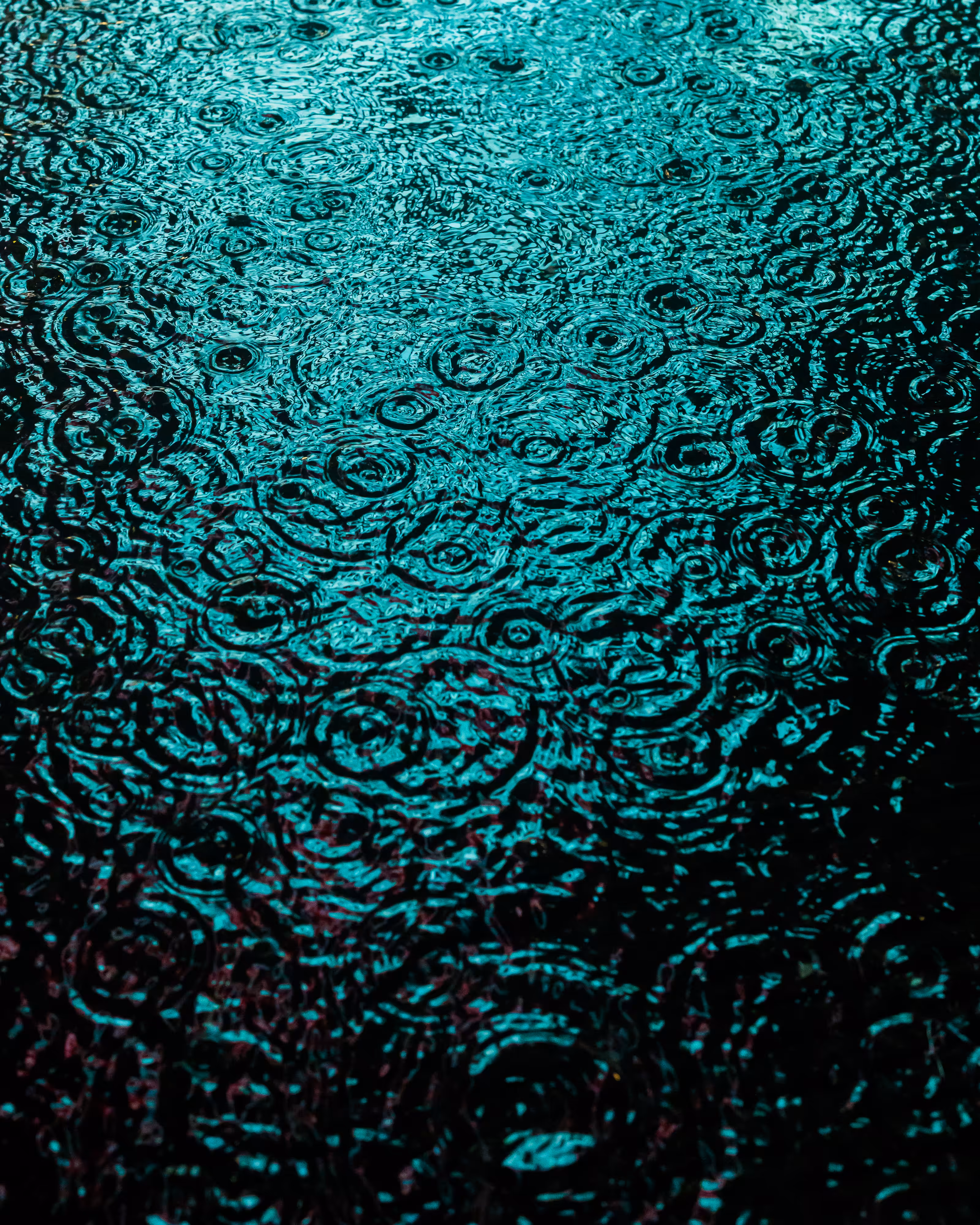 DRIP #189