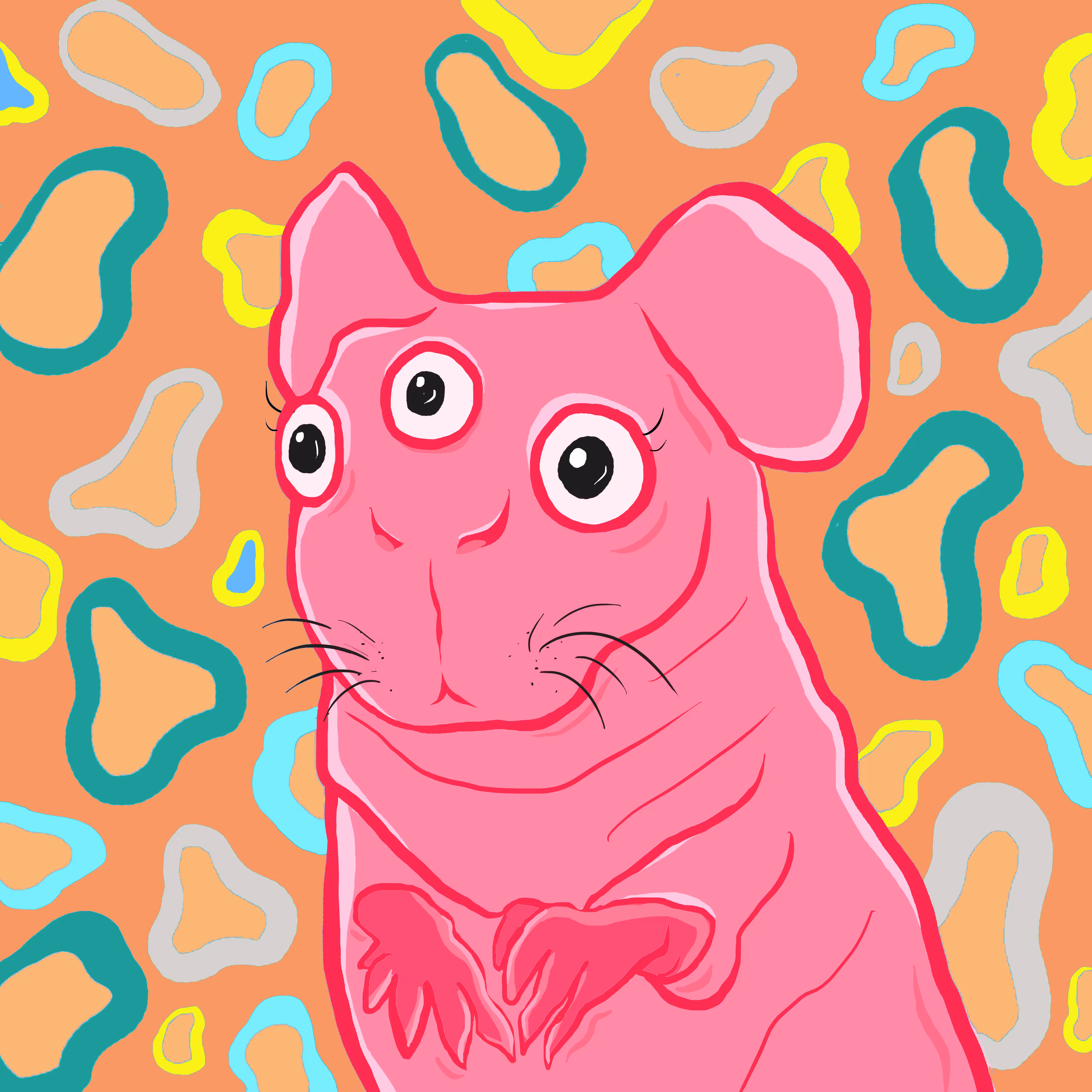 Thomas The Guinea Pİc