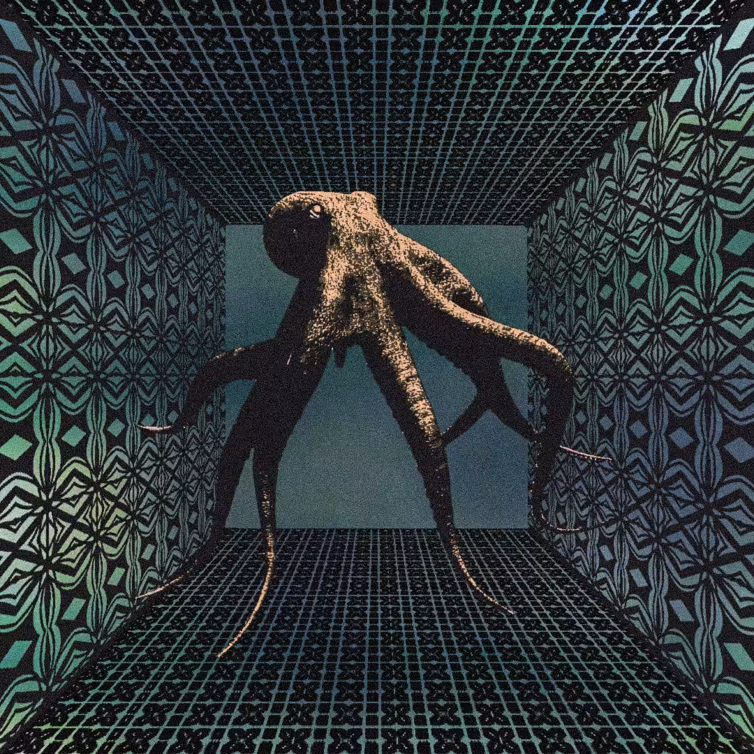 02 - 🐙