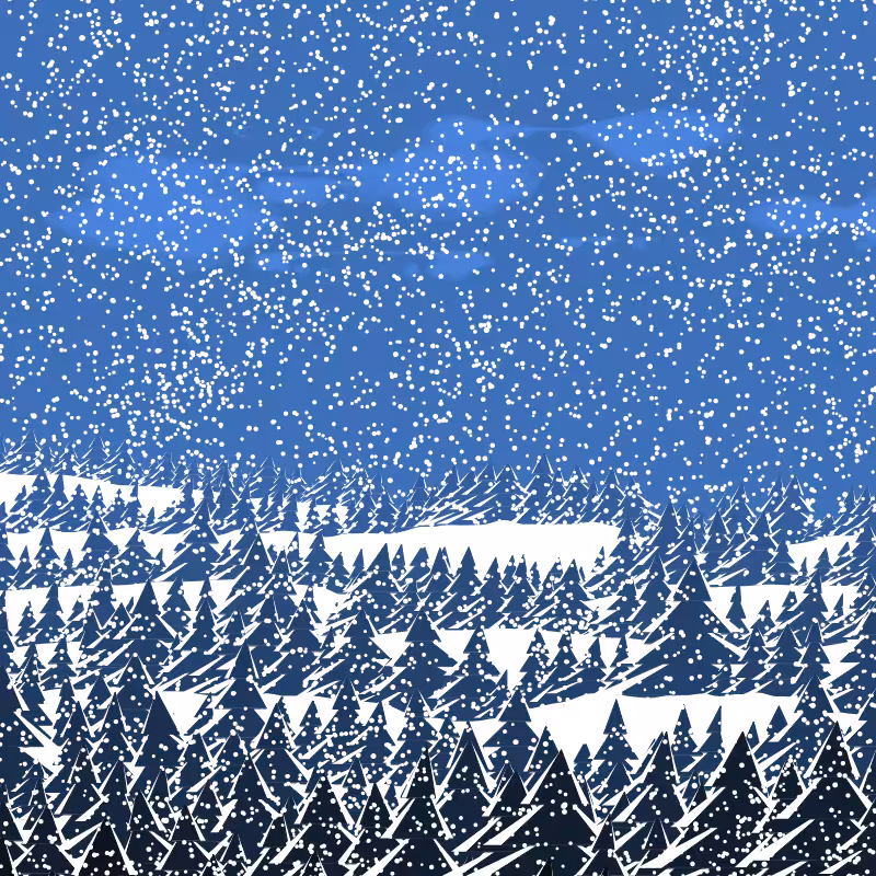 Winterland #60