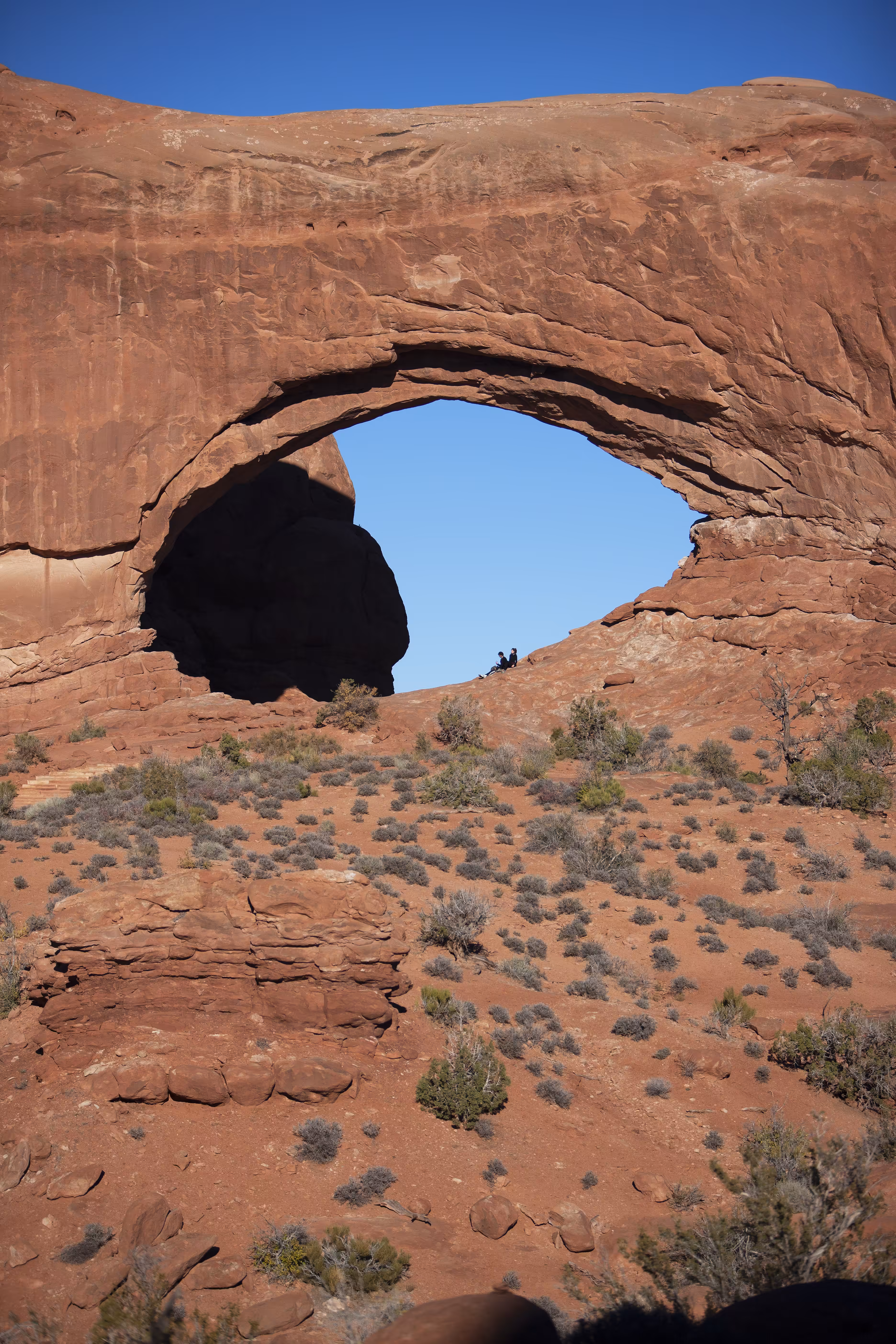 The Eye