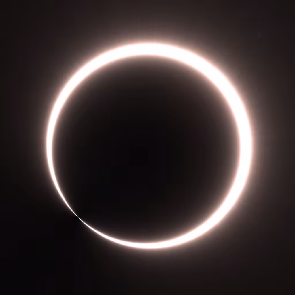 Totality #124