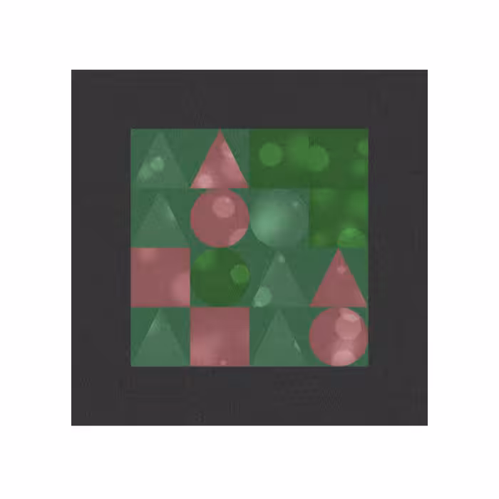 FOCUS #12