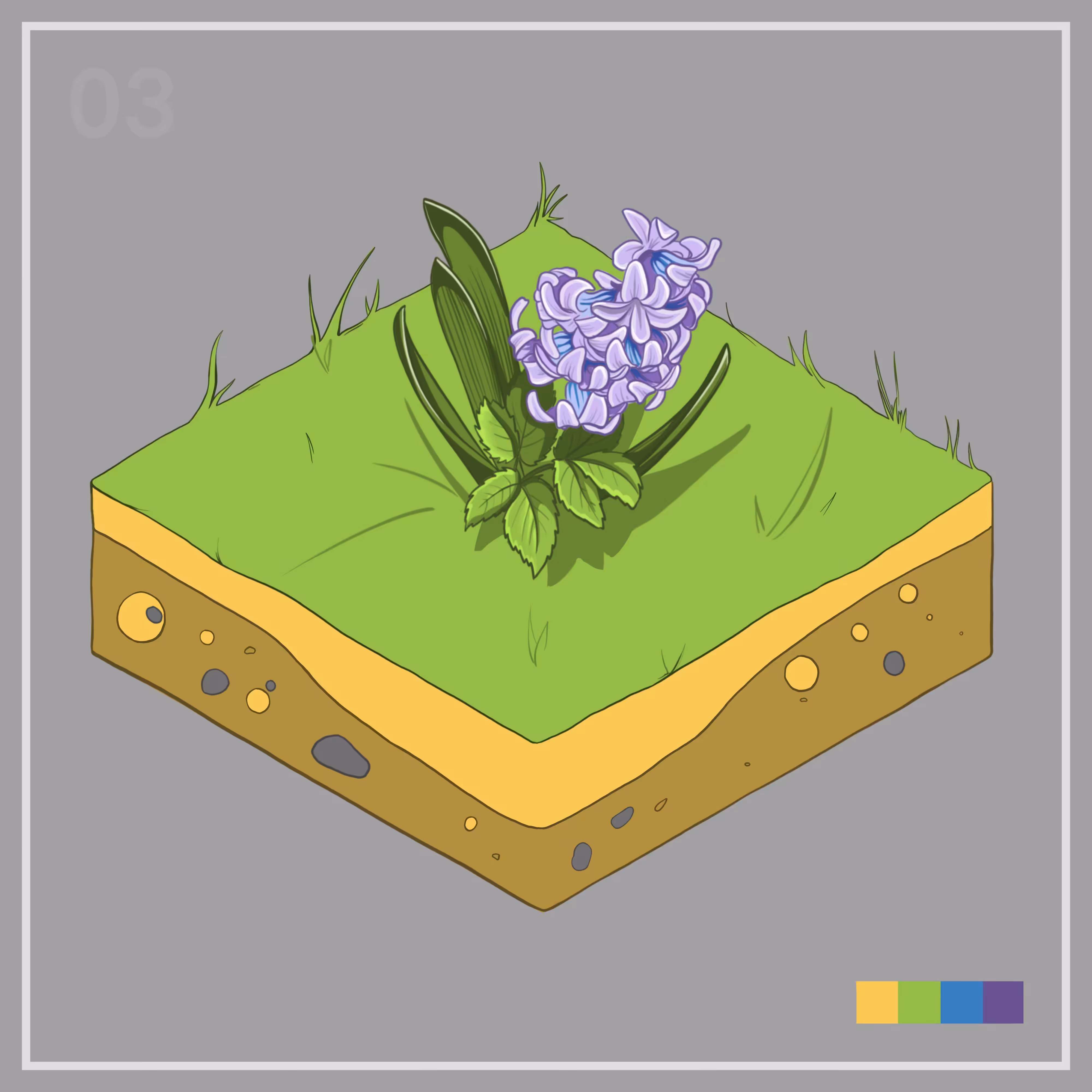 03 — Hyacinth