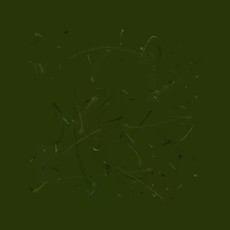 Flux #26
