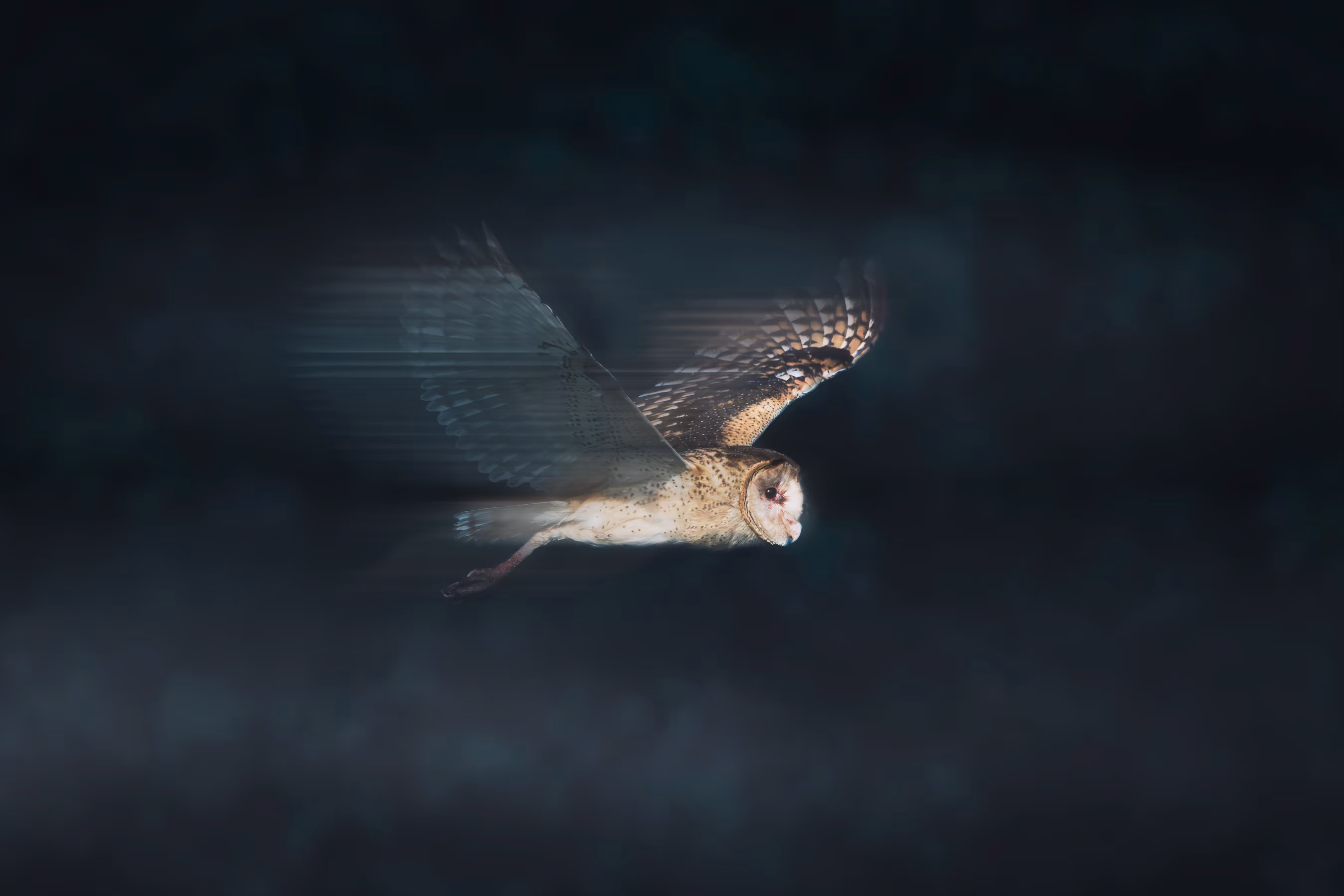 Flying Enigma