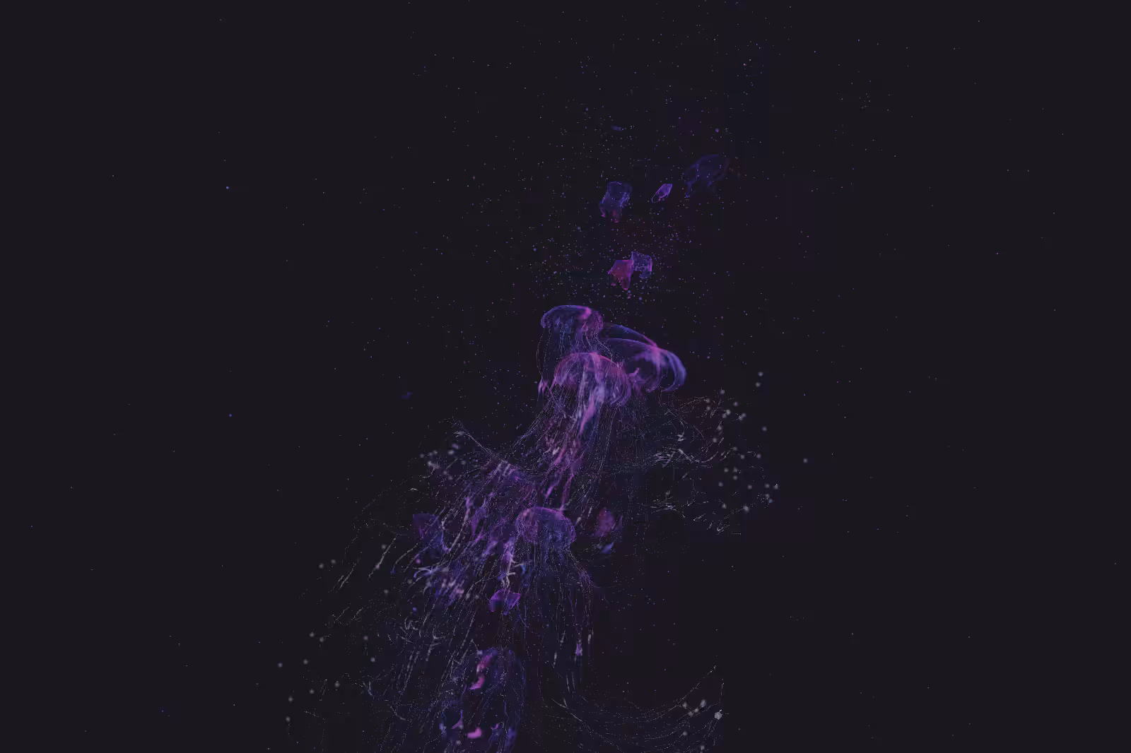 Turtle Vision #104