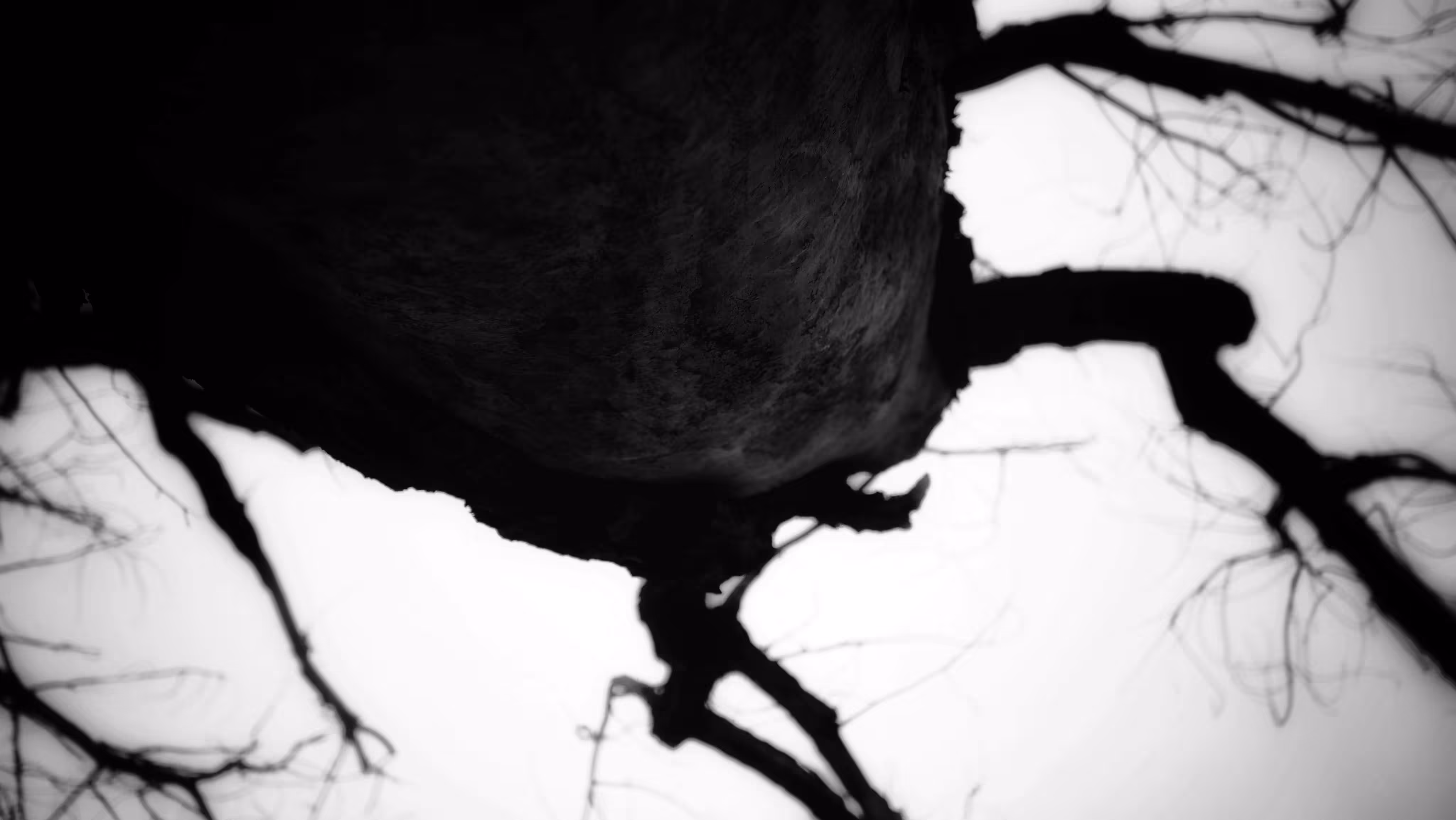 Linger