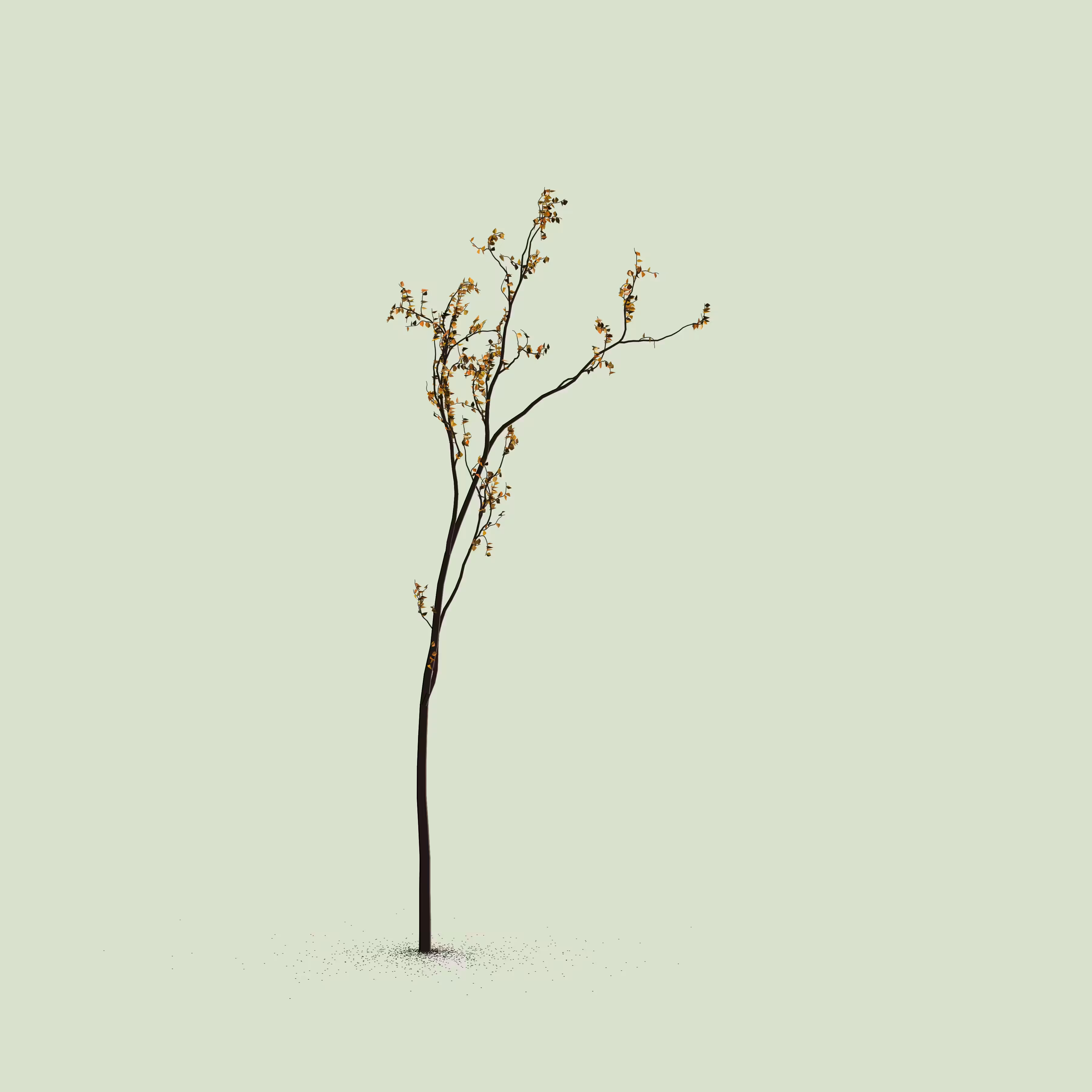 Little Trees #52