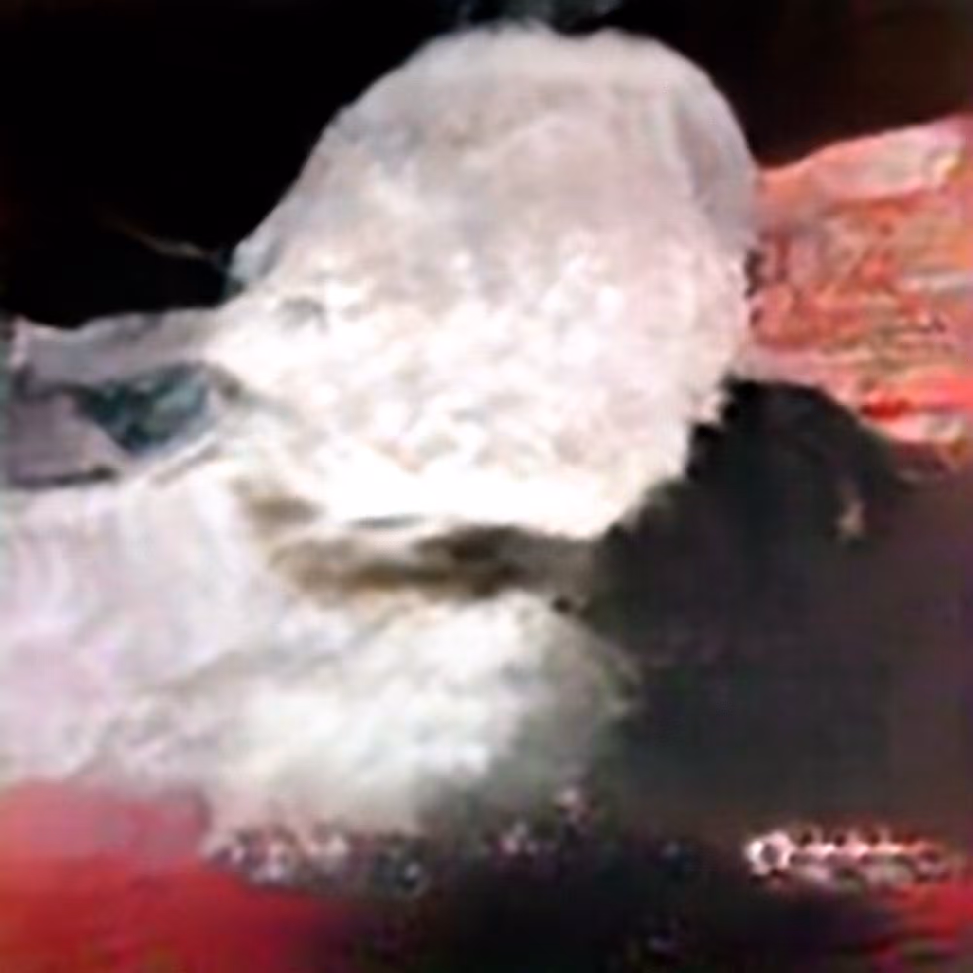 Evolved Hallucinations: Cocaine #1 (Corpus: The Interpretation of Dreams)