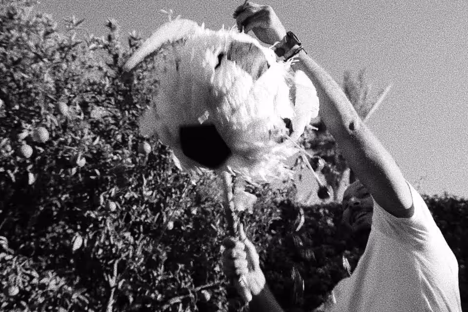 Piñata