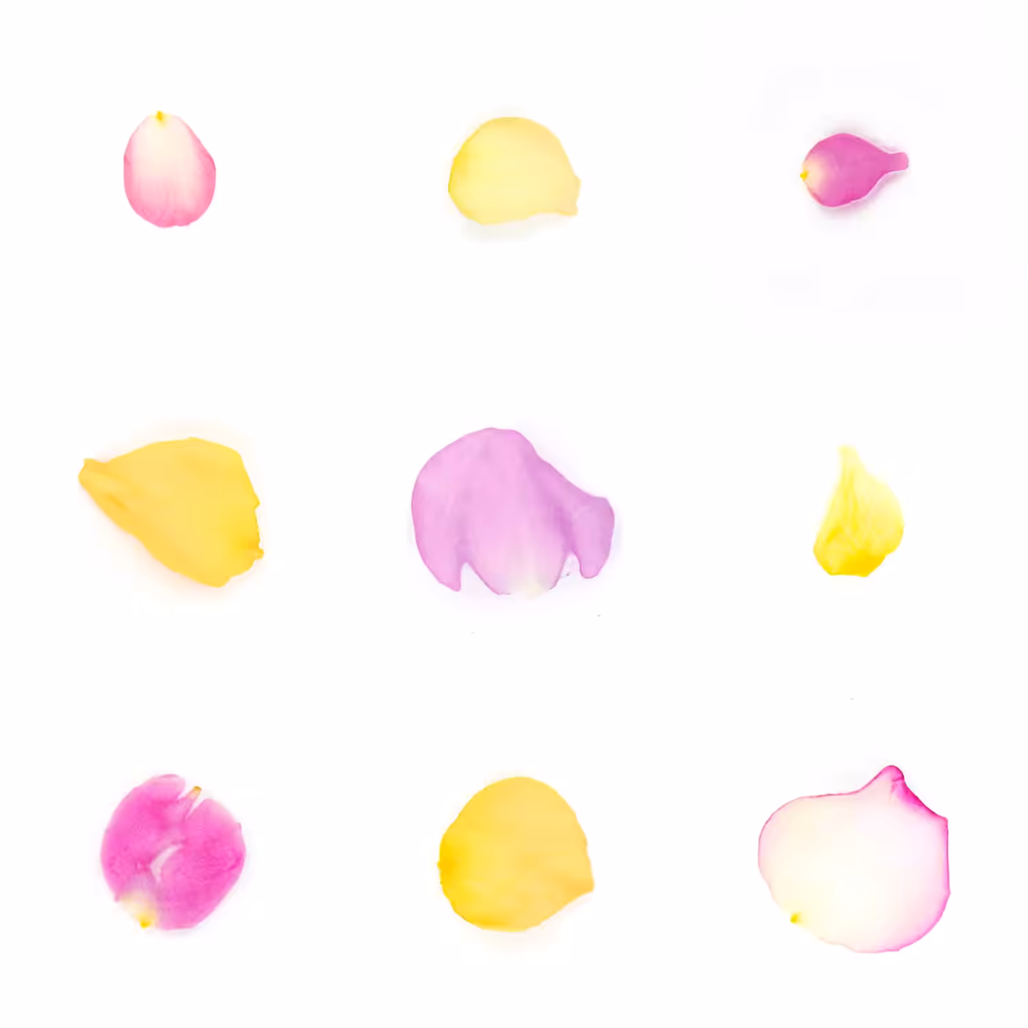 Infinite Petals 3x3#519